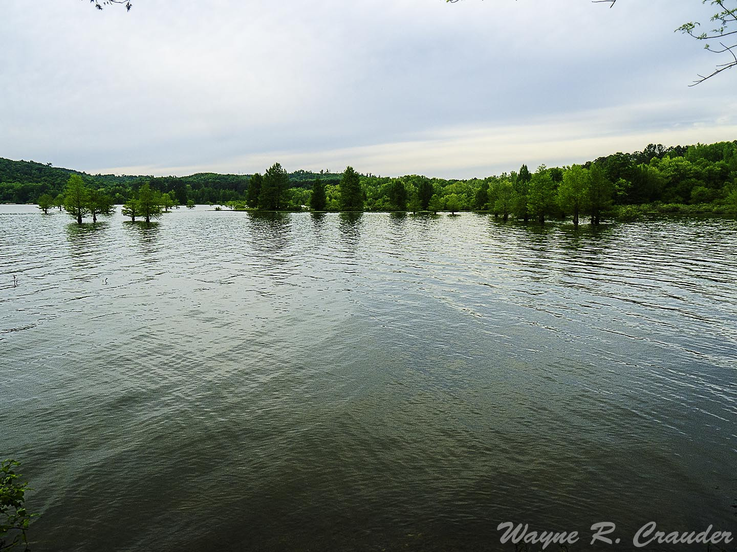 Panasonic Lumix DMC-GF5 sample photo. Second creek waterloo al photography