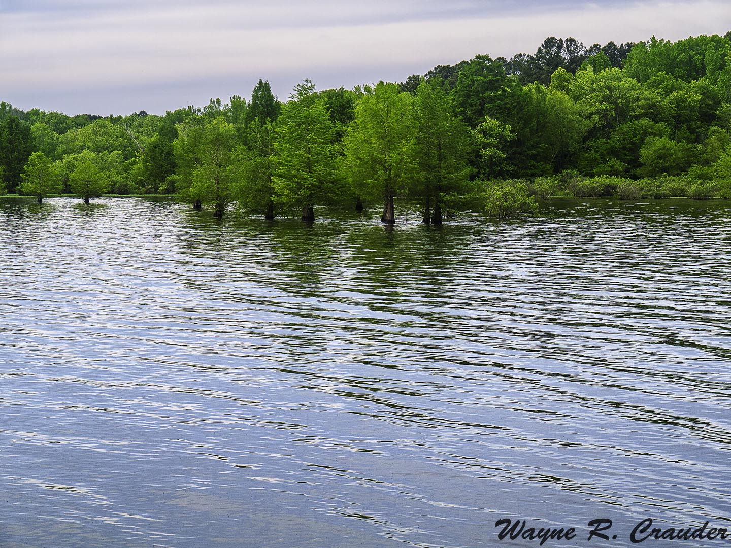 Panasonic Lumix DMC-GF5 sample photo. Second creek waterloo al photography