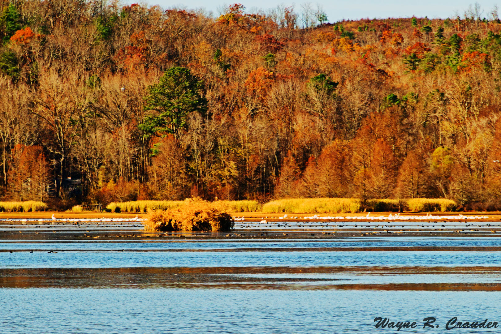 Panasonic Lumix DMC-GF5 sample photo. Second creek waterloo al nov photography