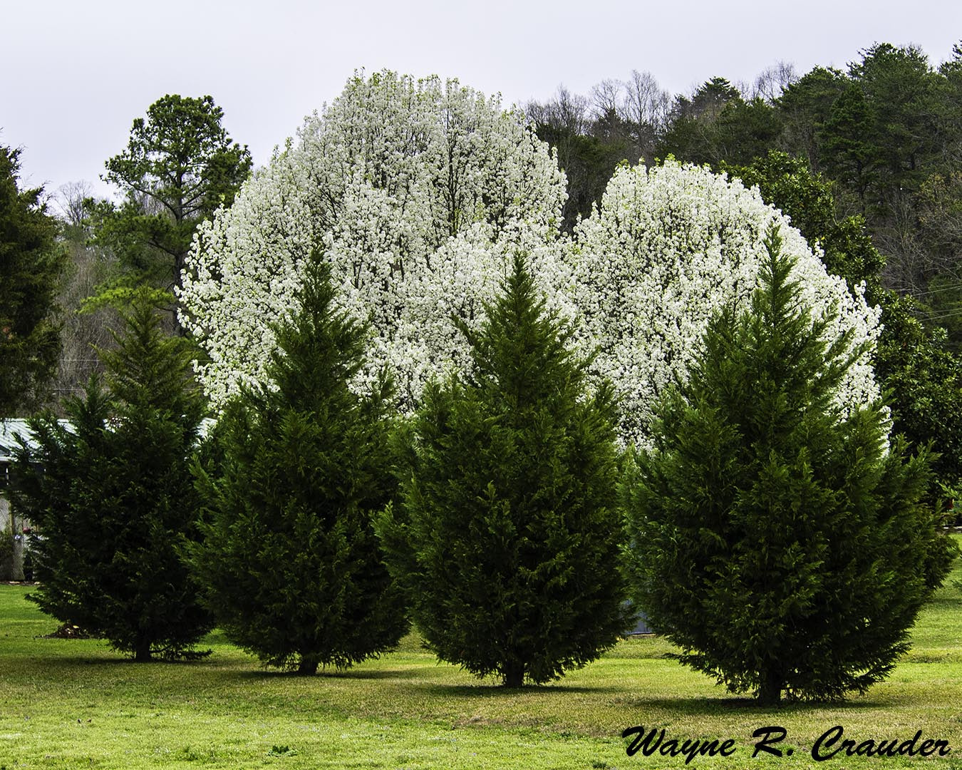 Panasonic Lumix DMC-GF5 sample photo. Spring photography