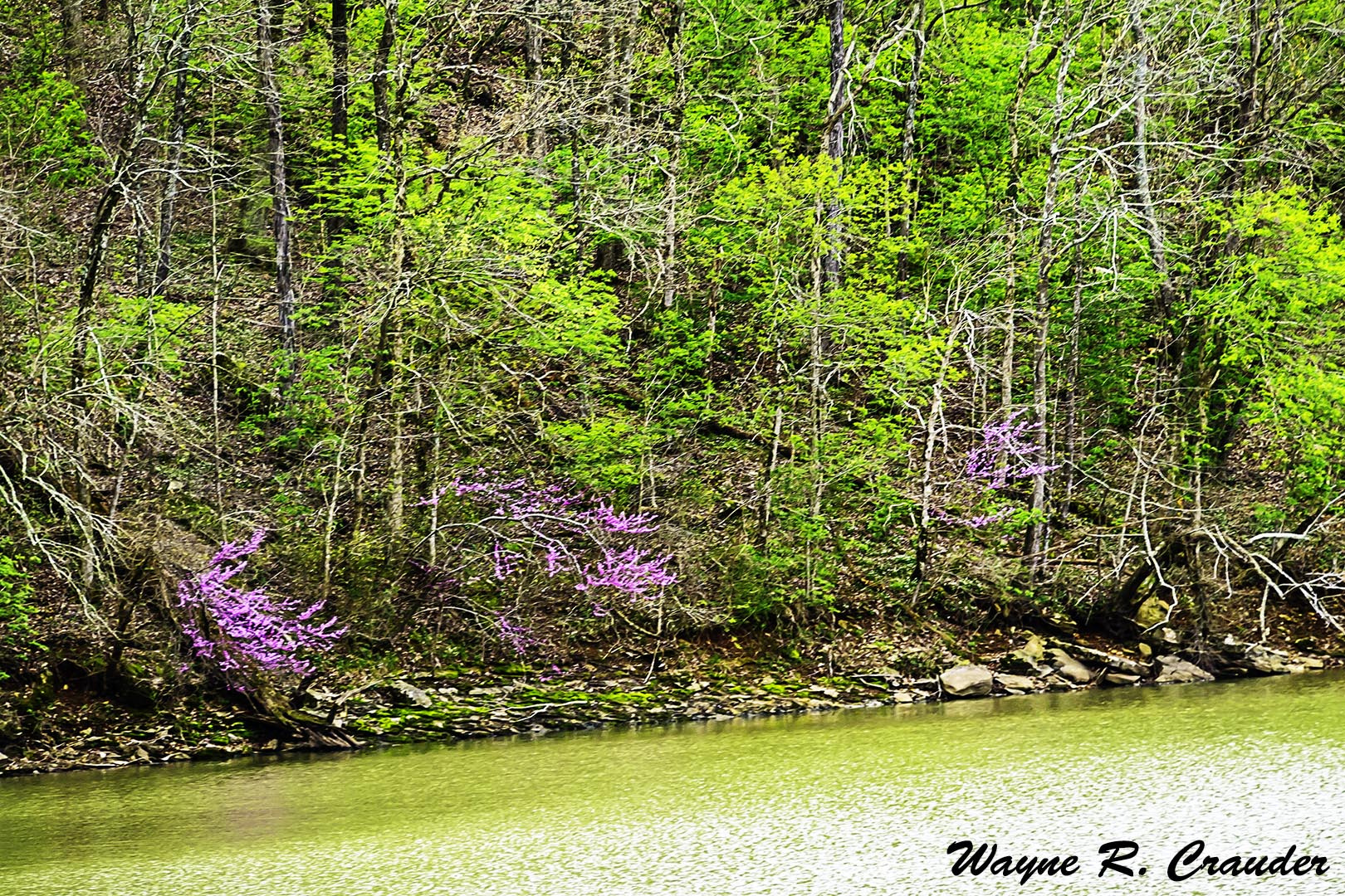 Panasonic Lumix DMC-GF5 sample photo. Spring photography