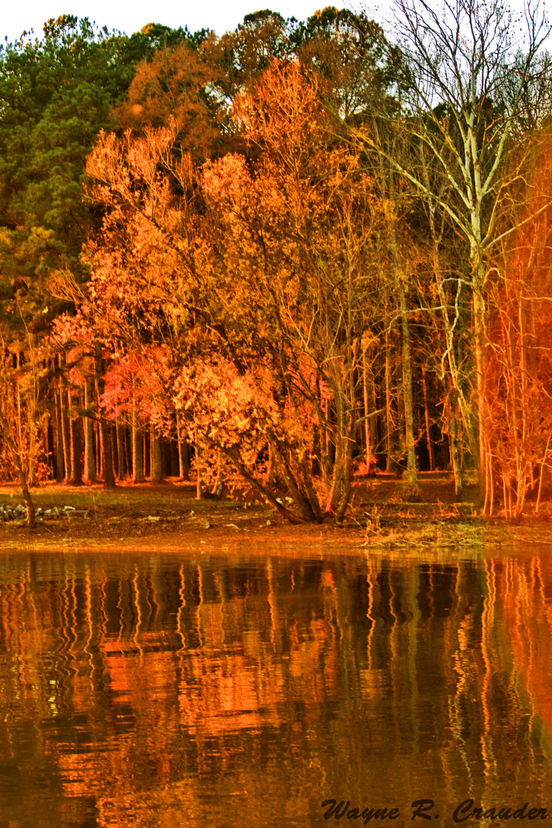 Panasonic Lumix DMC-GF5 sample photo. Waterloo al photography