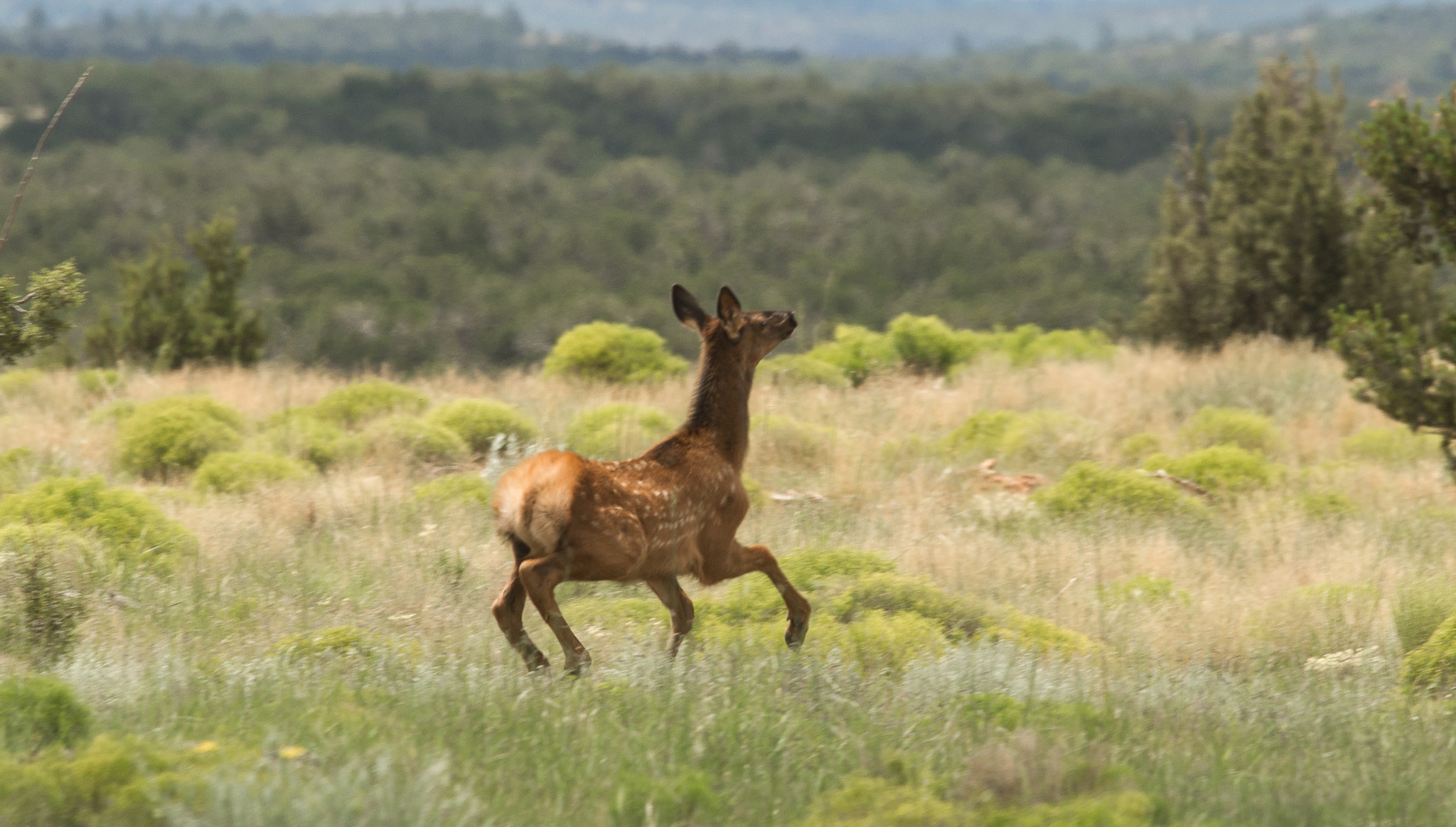 Sony Alpha DSLR-A850 sample photo. Heber overgaard countryside photography