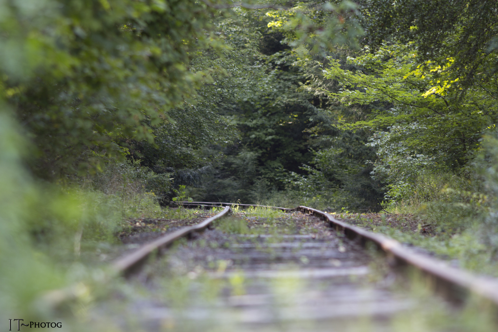 Canon EOS 60D + Canon EF 200mm F2.8L II USM sample photo. Railroad track 5522 photography