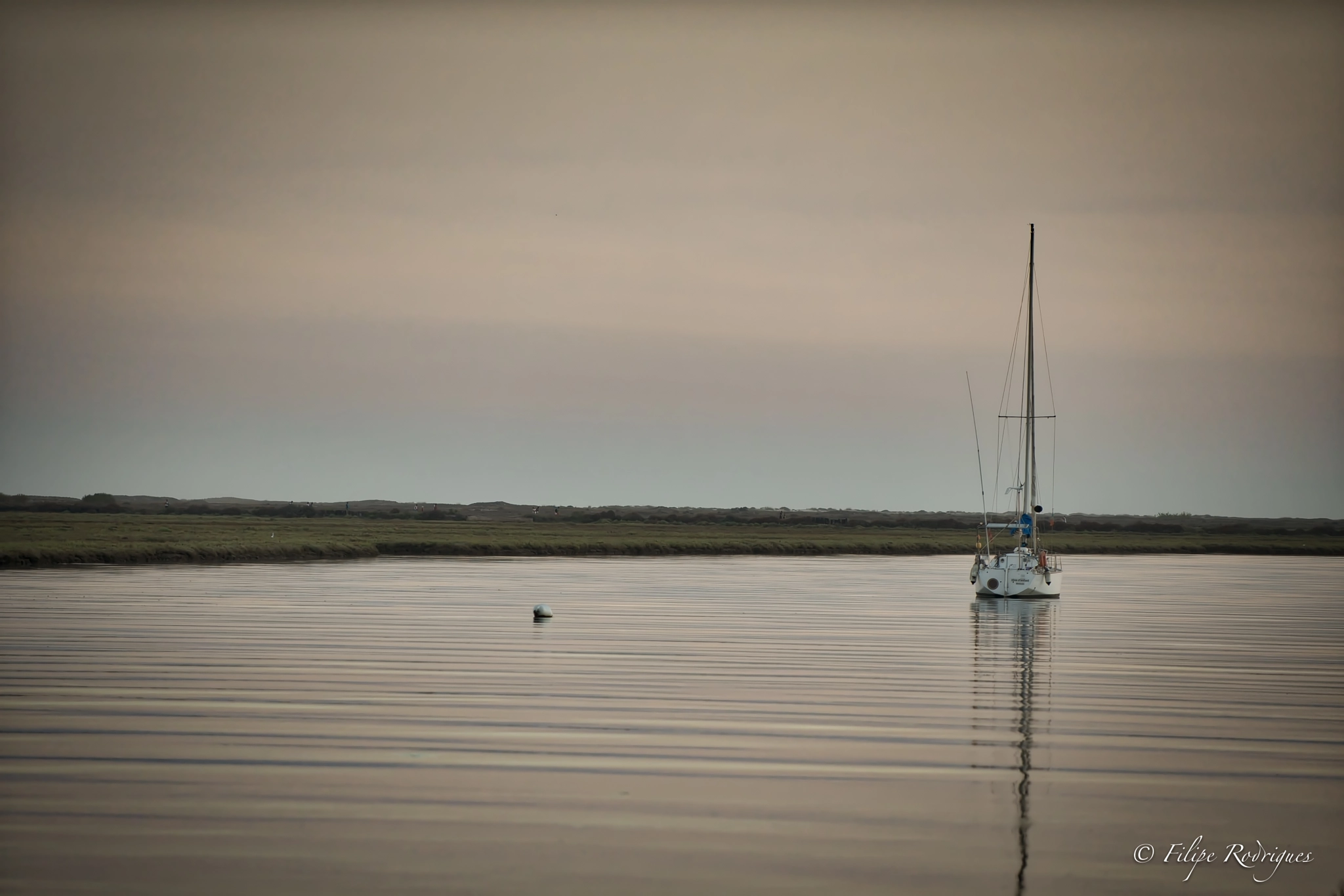 Nikon D800E sample photo. Ripples photography