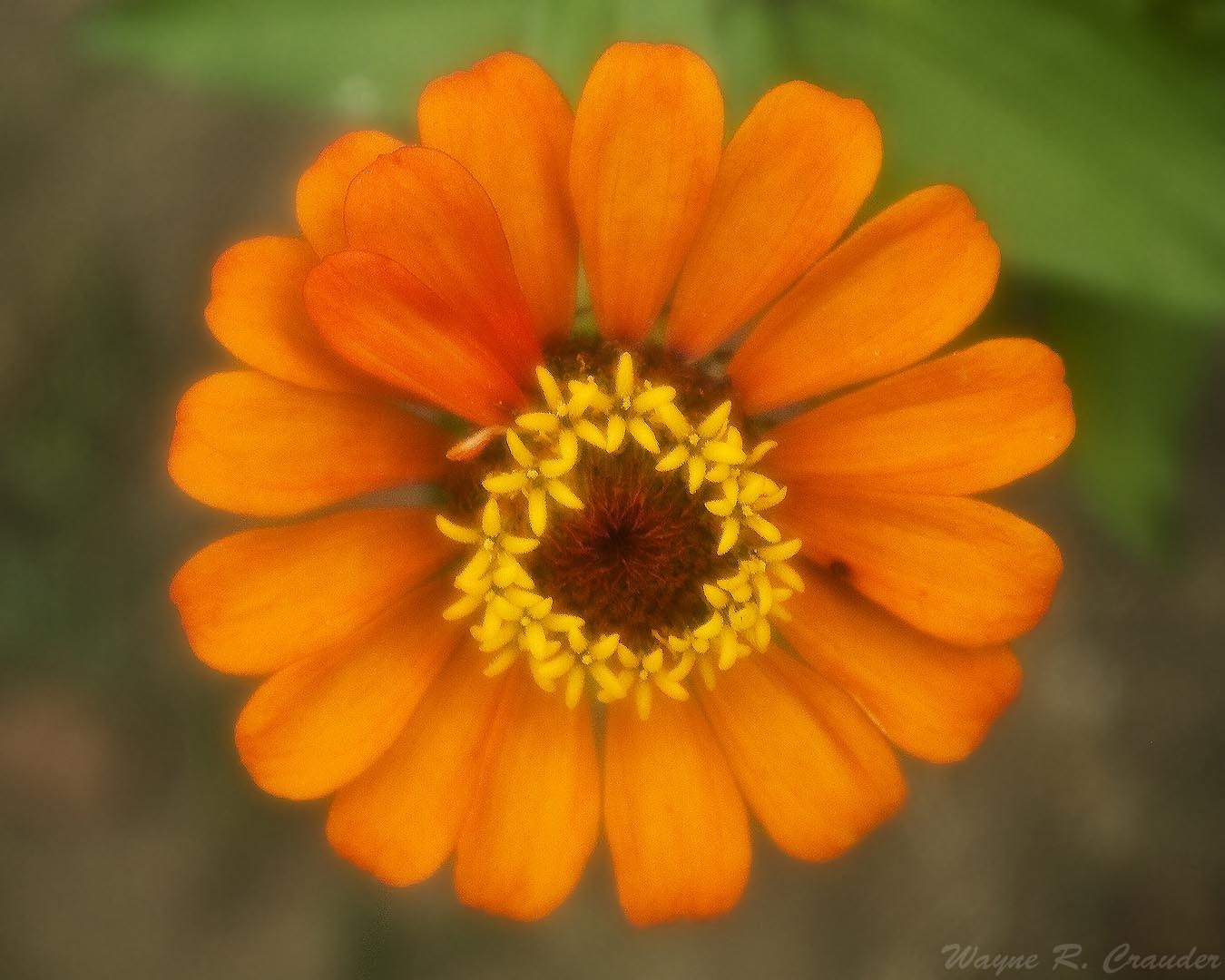 Panasonic Lumix DMC-GF5 sample photo. Western kentucky botanical garden photography