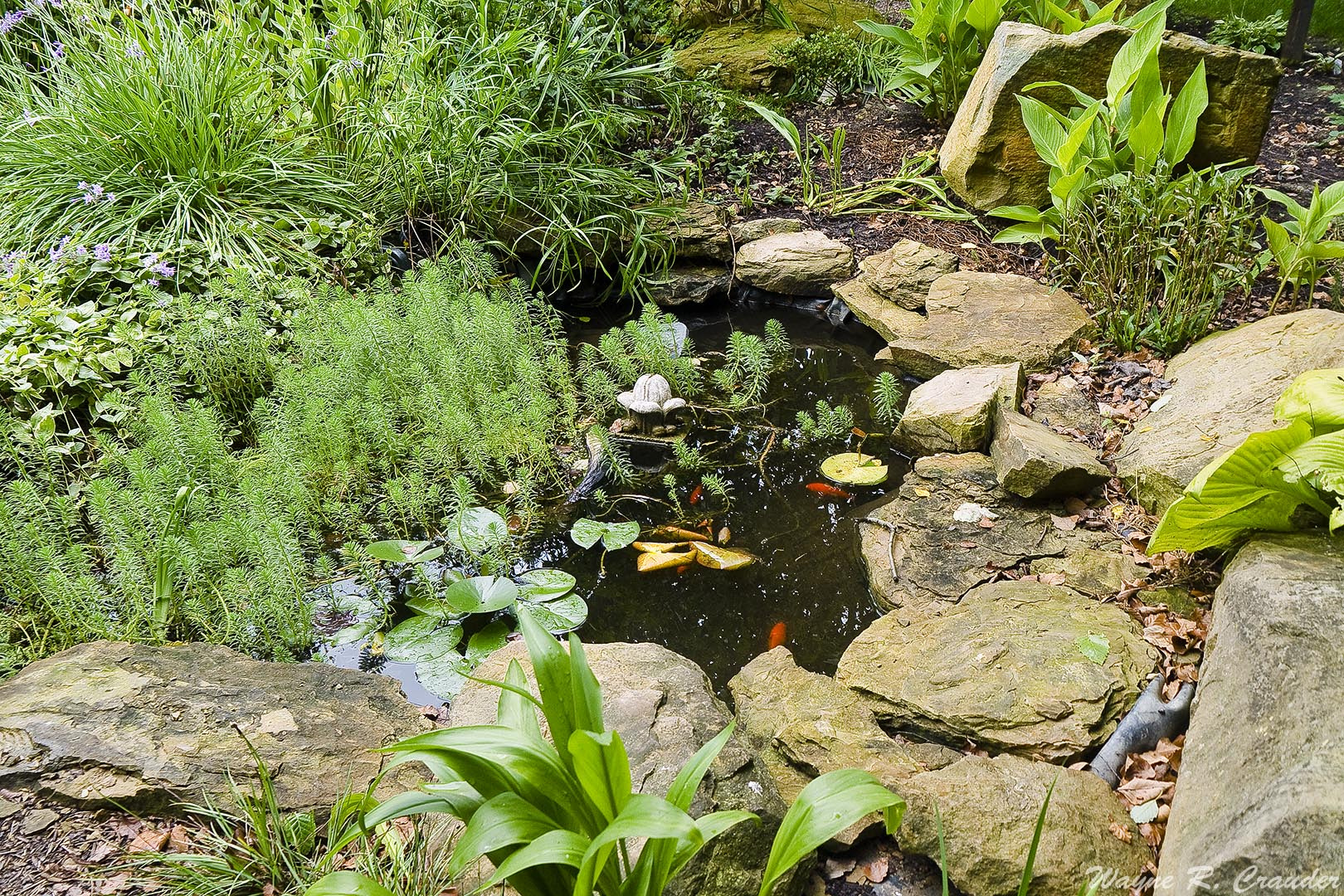 Panasonic Lumix DMC-GF5 sample photo. Western kentucky botanical garden photography