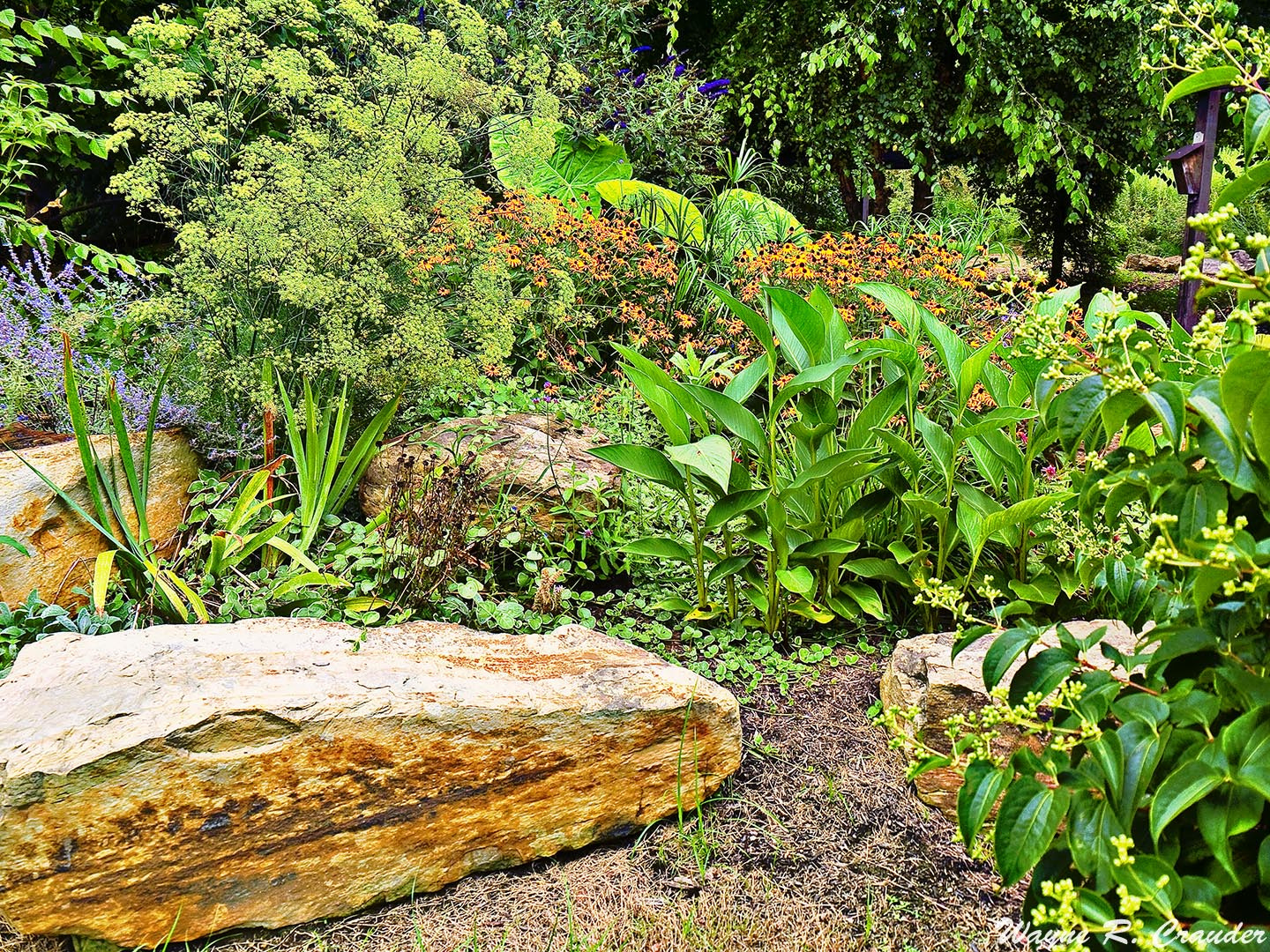 Panasonic Lumix DMC-GF5 sample photo. Western kentucky botanical garden photography