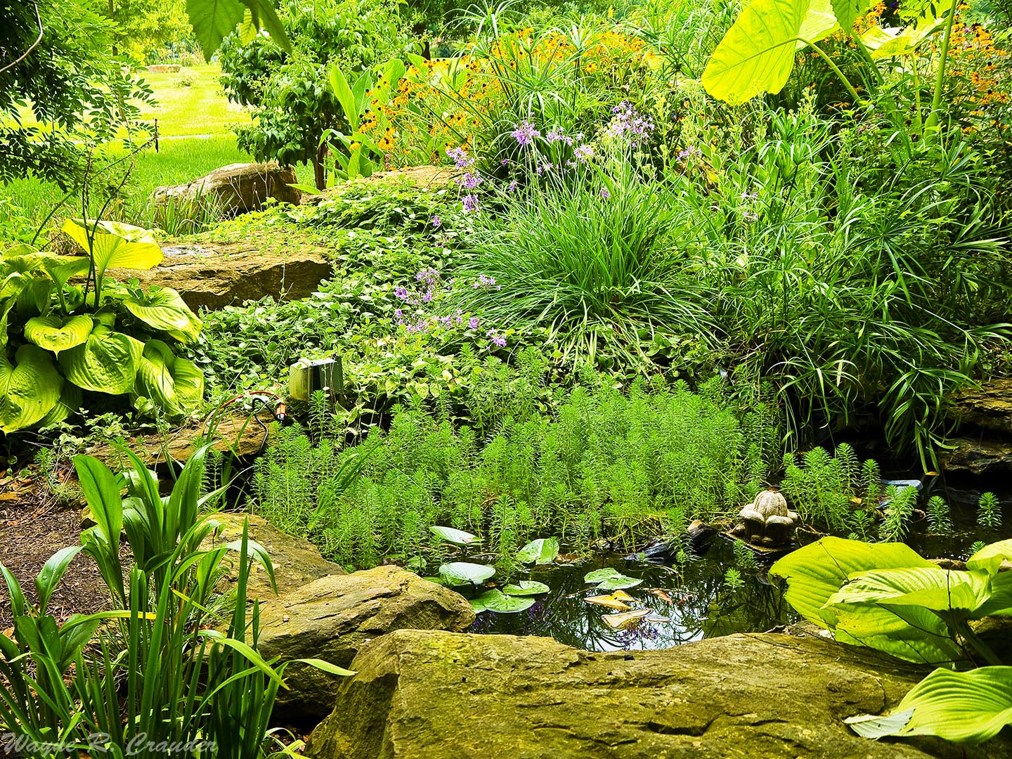 Panasonic Lumix DMC-GF5 sample photo. Western kentucky botanical garden photography