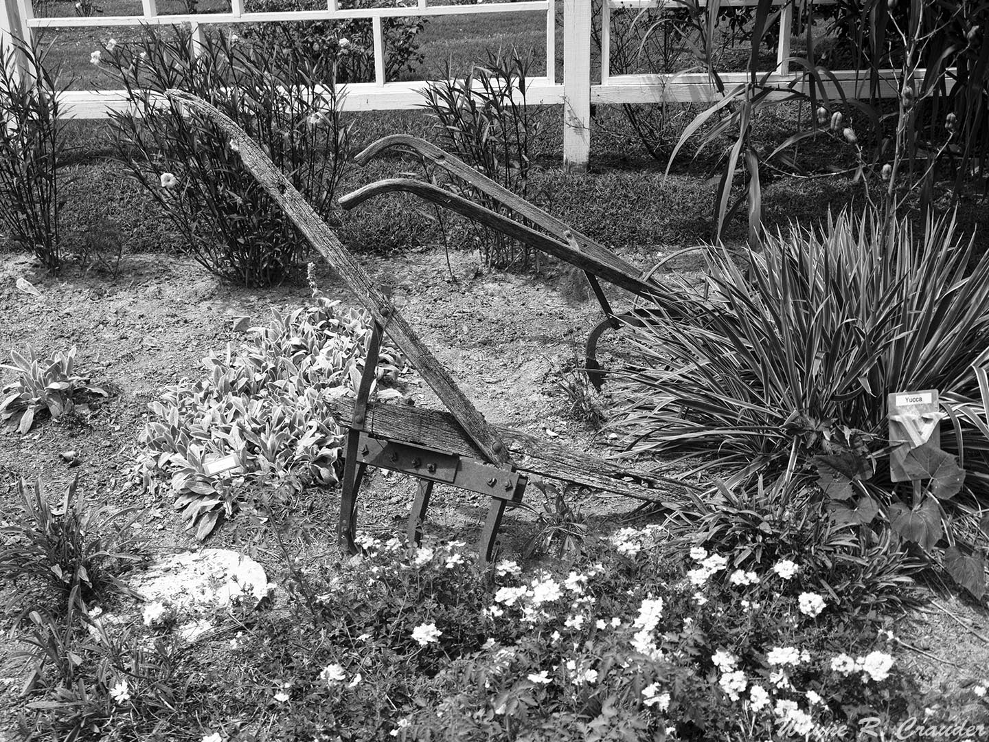 Panasonic Lumix DMC-GF5 sample photo. Western kentucky botanical garden photography