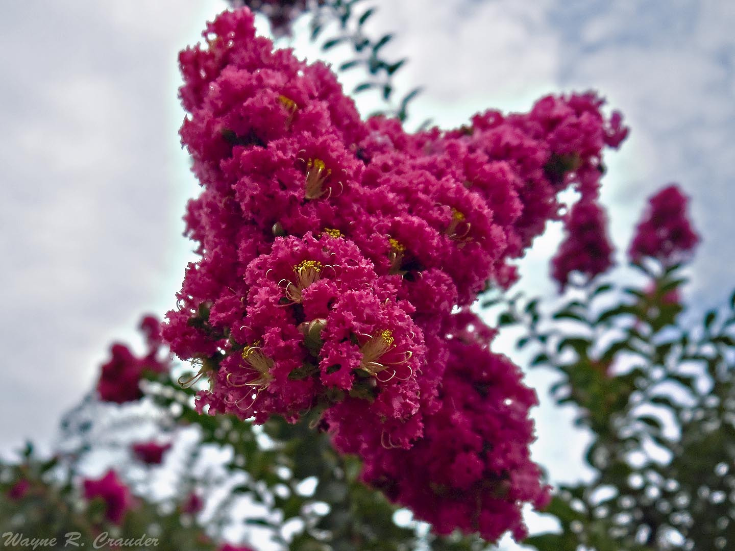 Panasonic Lumix DMC-GF5 sample photo. Western kentucky botanical garden photography
