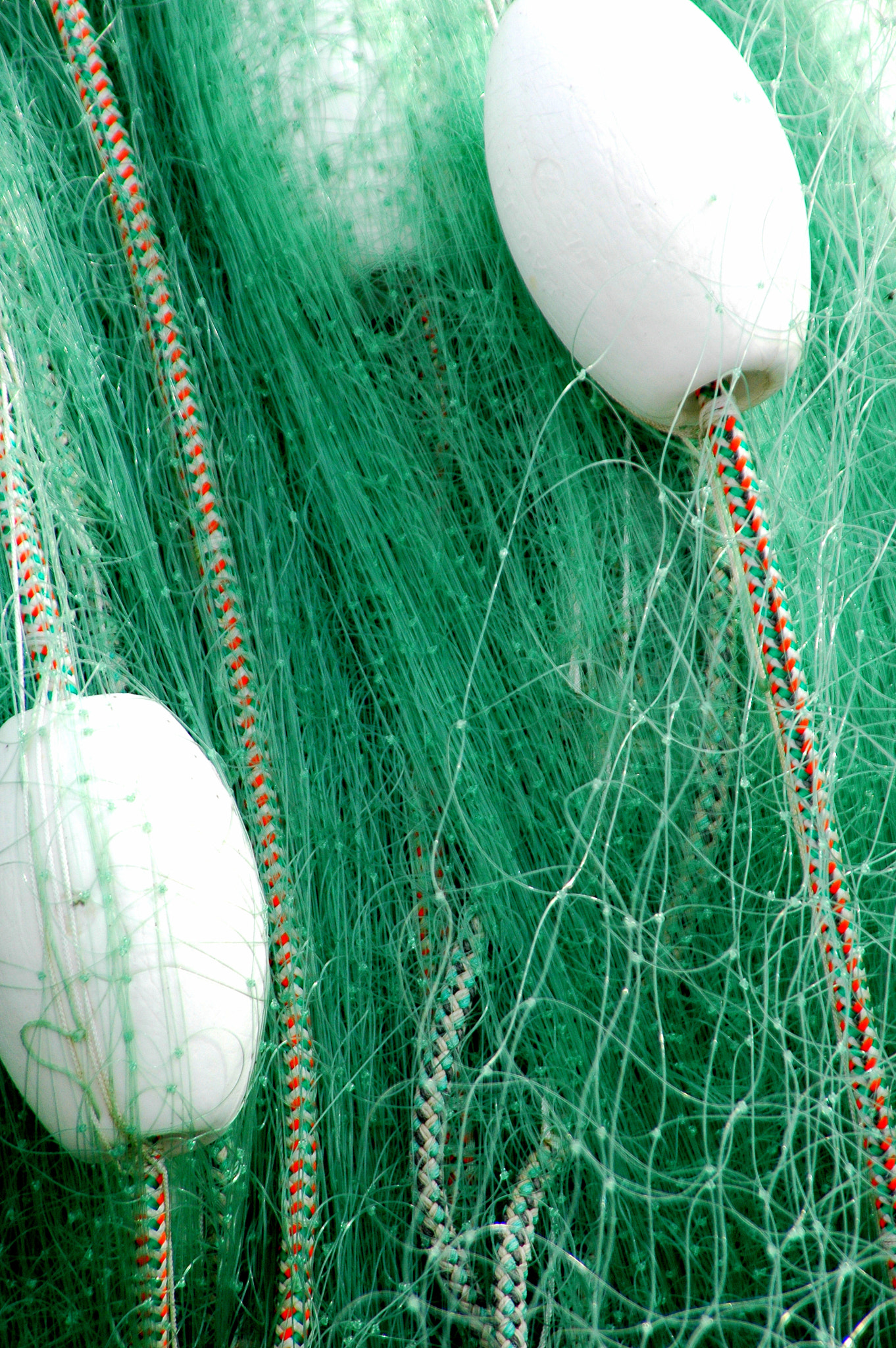 Nikon D70 sample photo. Fishing nets. photography