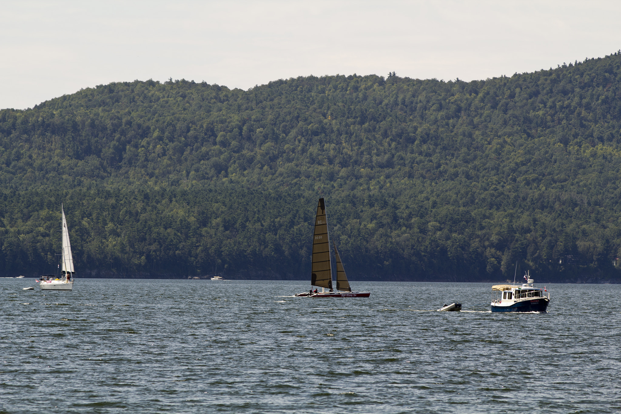 Canon EOS 60D + Canon EF 200mm F2.8L II USM sample photo. Lake champlain 5290 photography