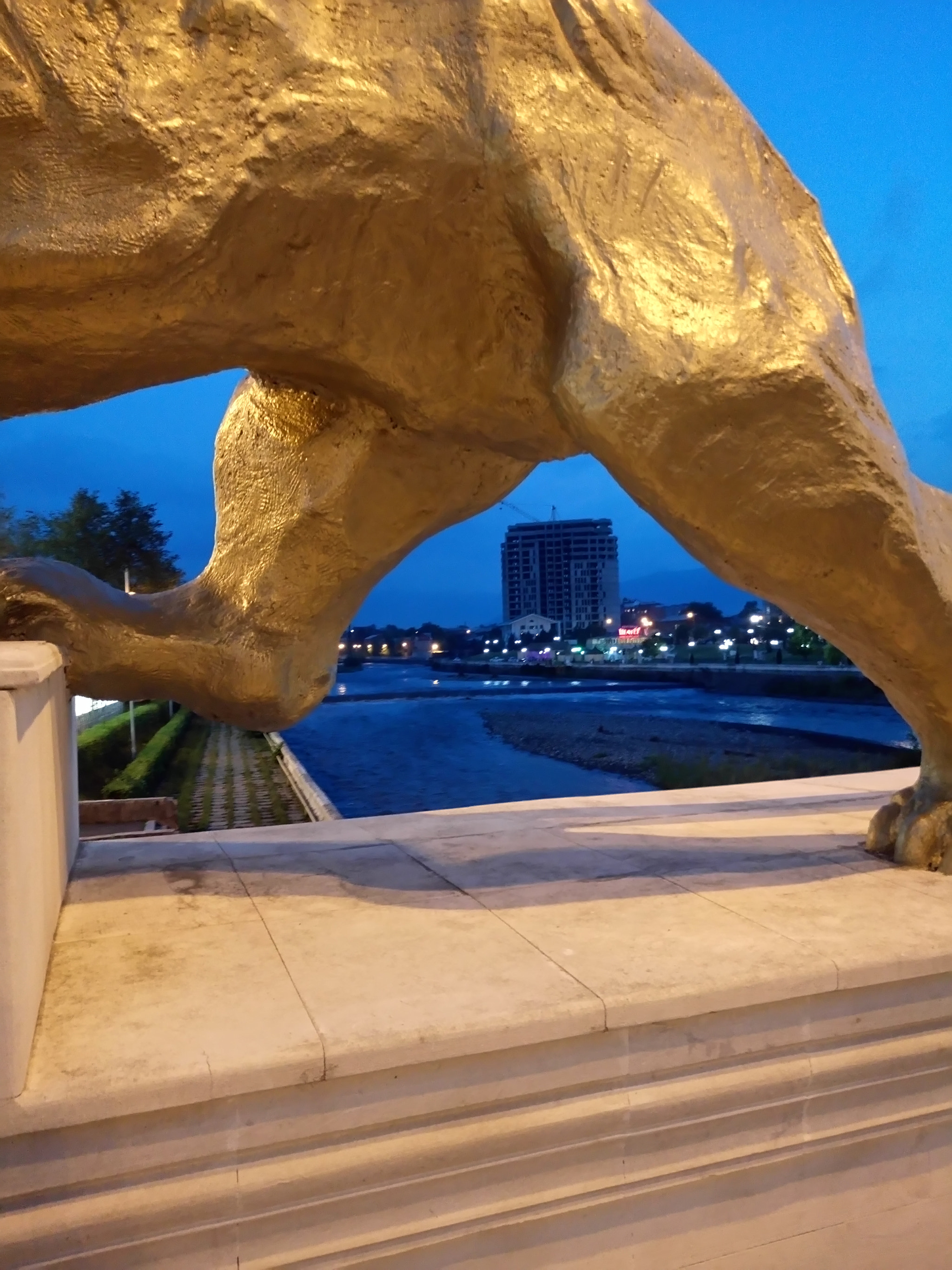 Sony Xperia M5 Dual sample photo