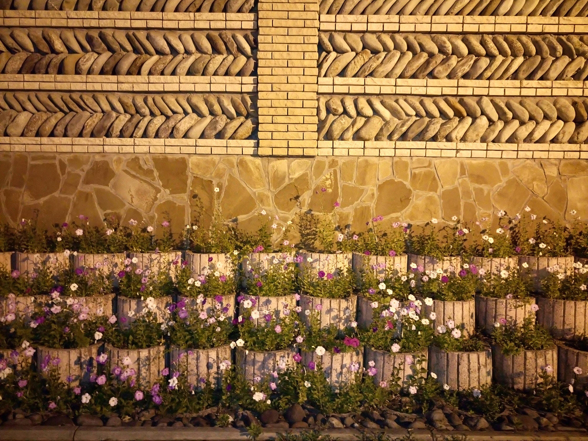 Sony Xperia M5 Dual sample photo