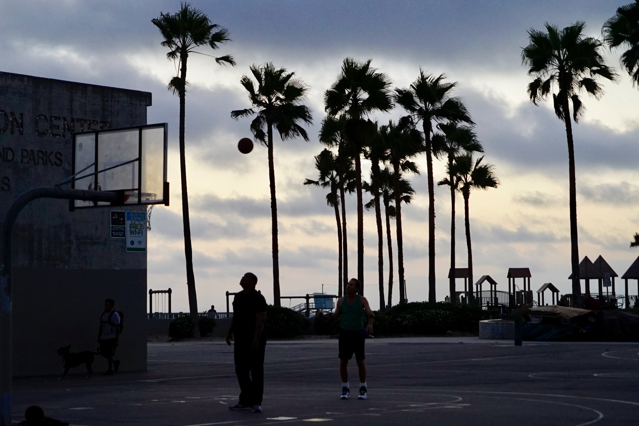 Sony a7S + Sony FE 24-240mm F3.5-6.3 OSS sample photo. California 2016 photography