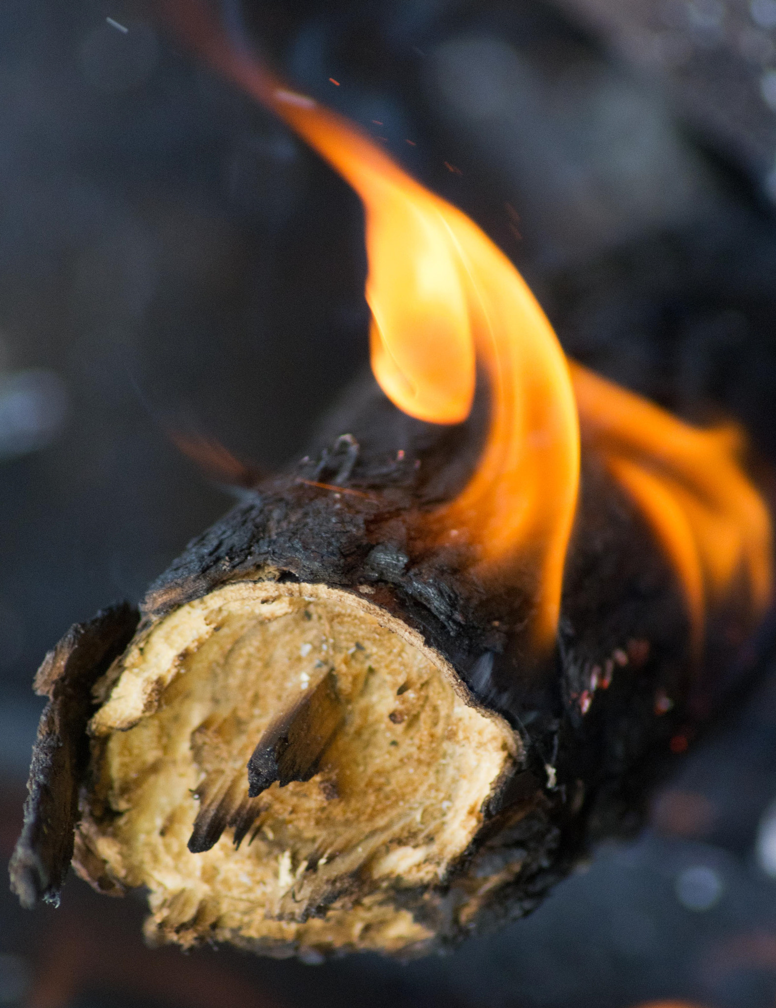 Tamron AF 70-300mm F4-5.6 Di LD Macro sample photo. Fire photography