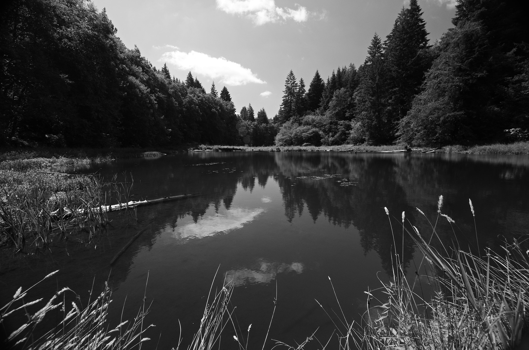 Sigma 10-20mm F3.5 EX DC HSM sample photo. Soapstone lake photography