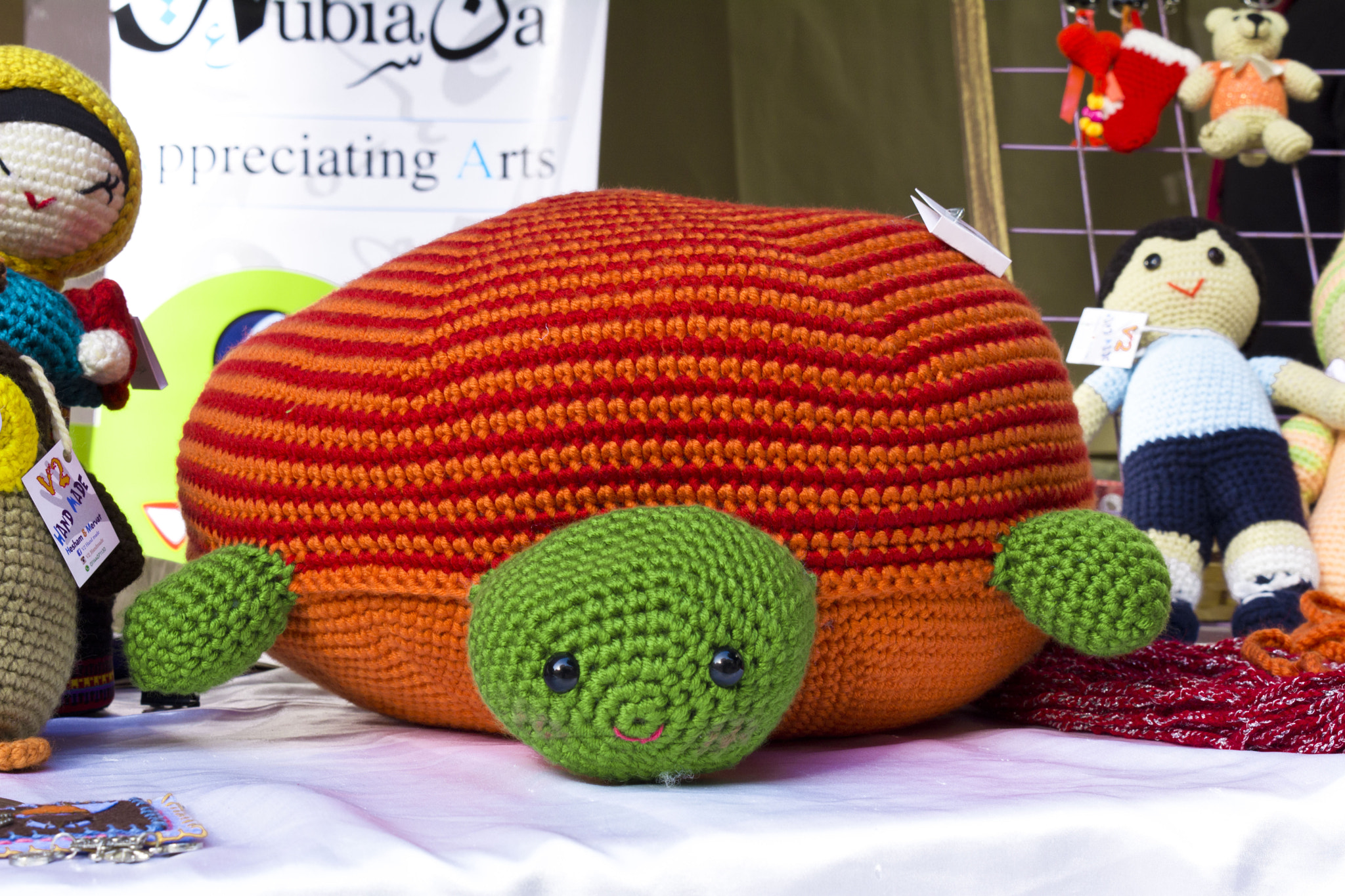 Nikon D5200 + Nikon AF Fisheye-Nikkor 16mm F2.8D sample photo. Cute turtle photography