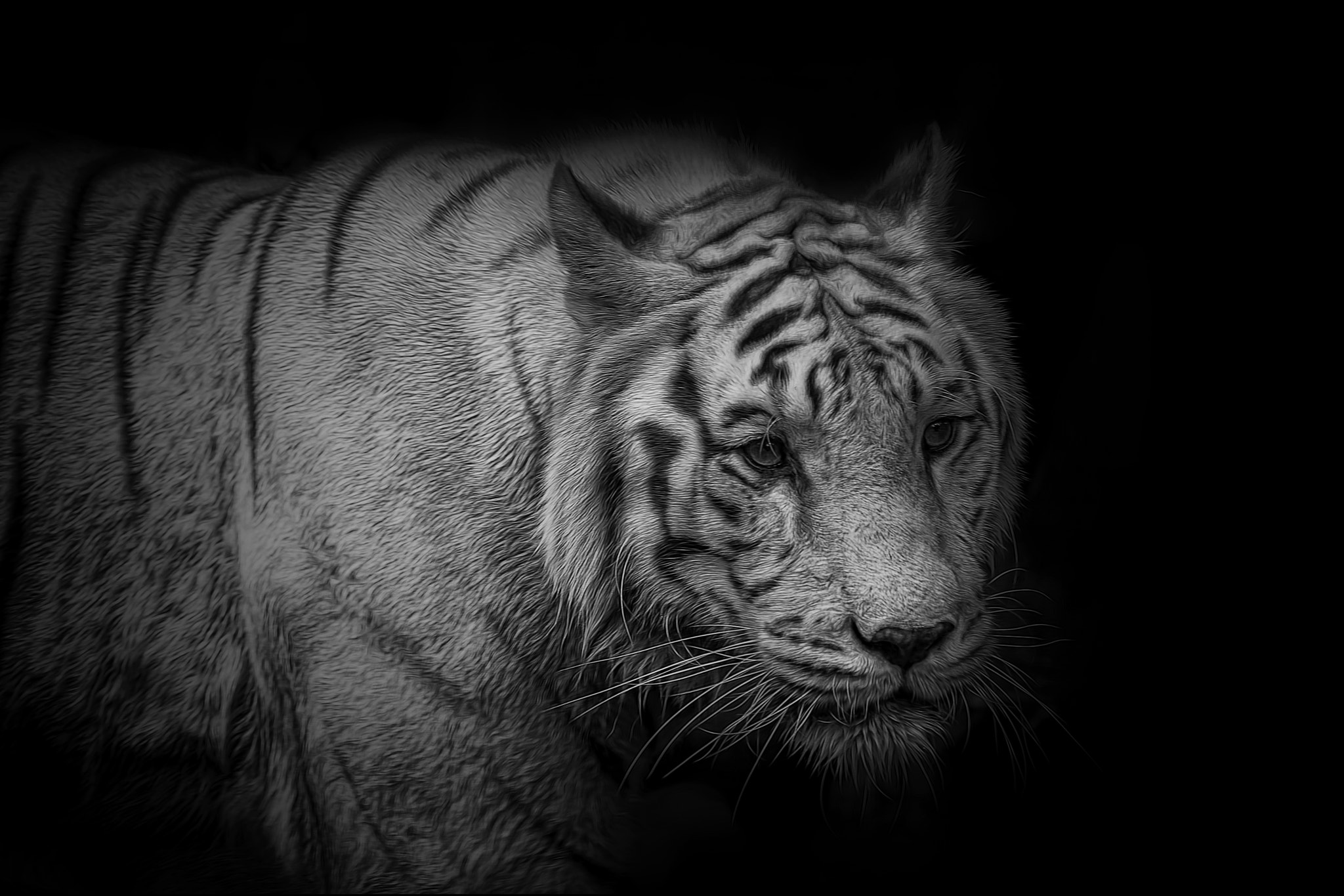 Canon EF 100-400mm F4.5-5.6L IS USM sample photo. Coming out of the darkness photography