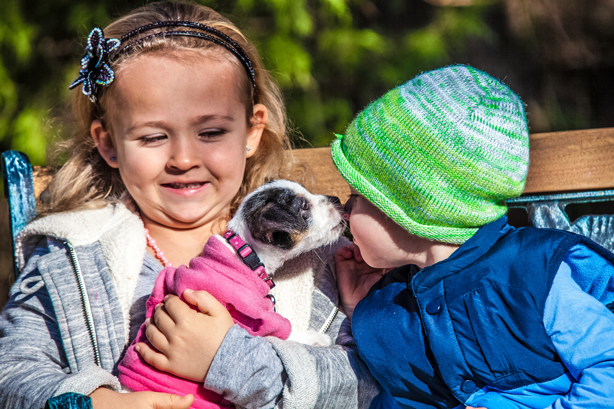 Sigma 50-500mm f/4-6.3 APO HSM EX sample photo. Innocent puppy love photography