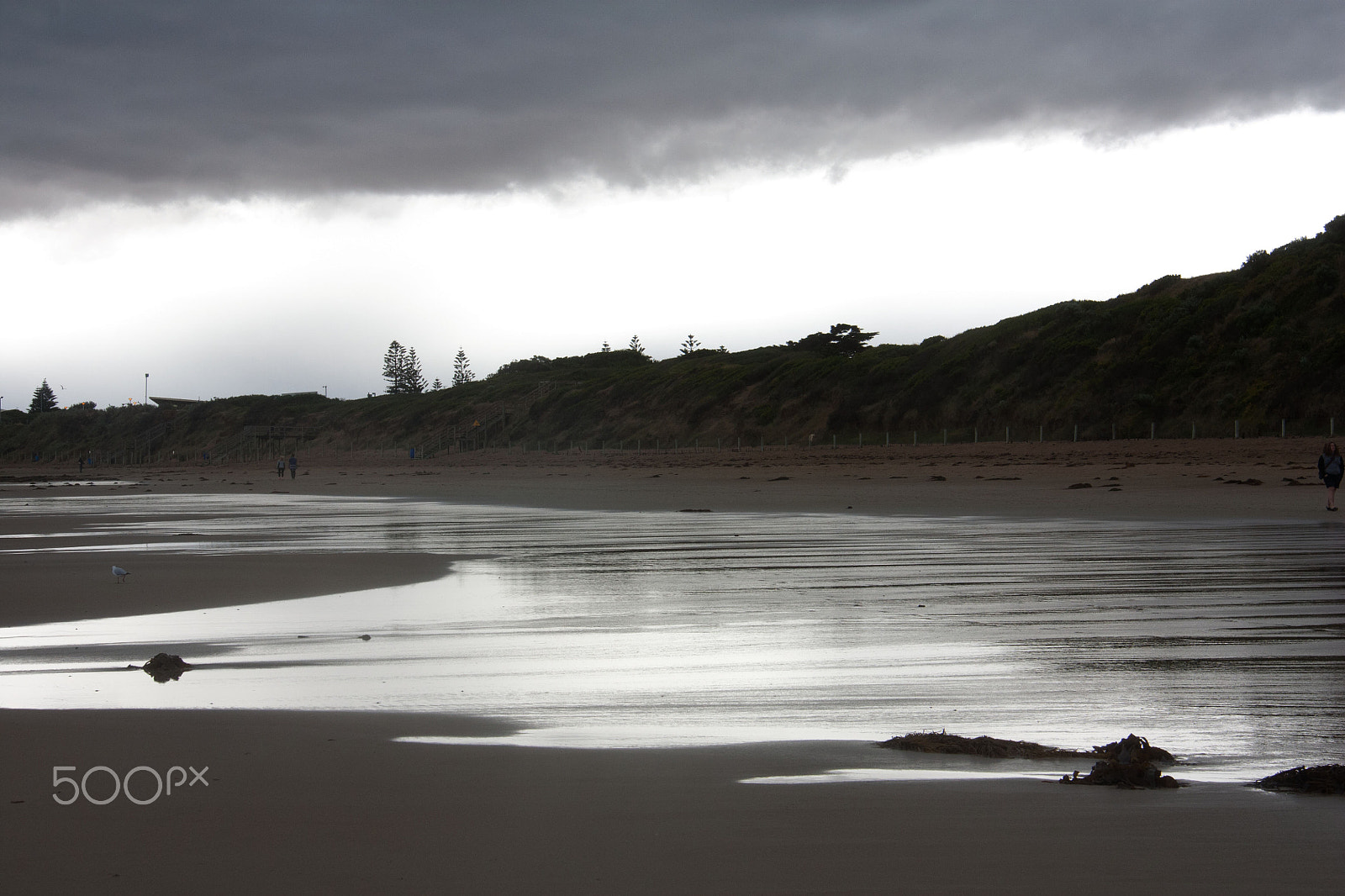 Canon EOS 450D (EOS Rebel XSi / EOS Kiss X2) sample photo. Evening at ocean grove photography
