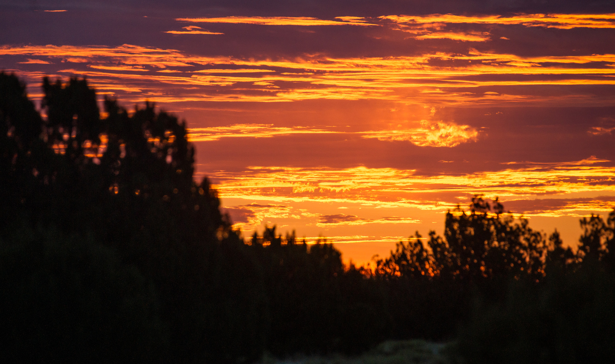 Sony Alpha DSLR-A850 + Sony 70-400mm F4-5.6 G SSM sample photo. Waking up the forrest photography