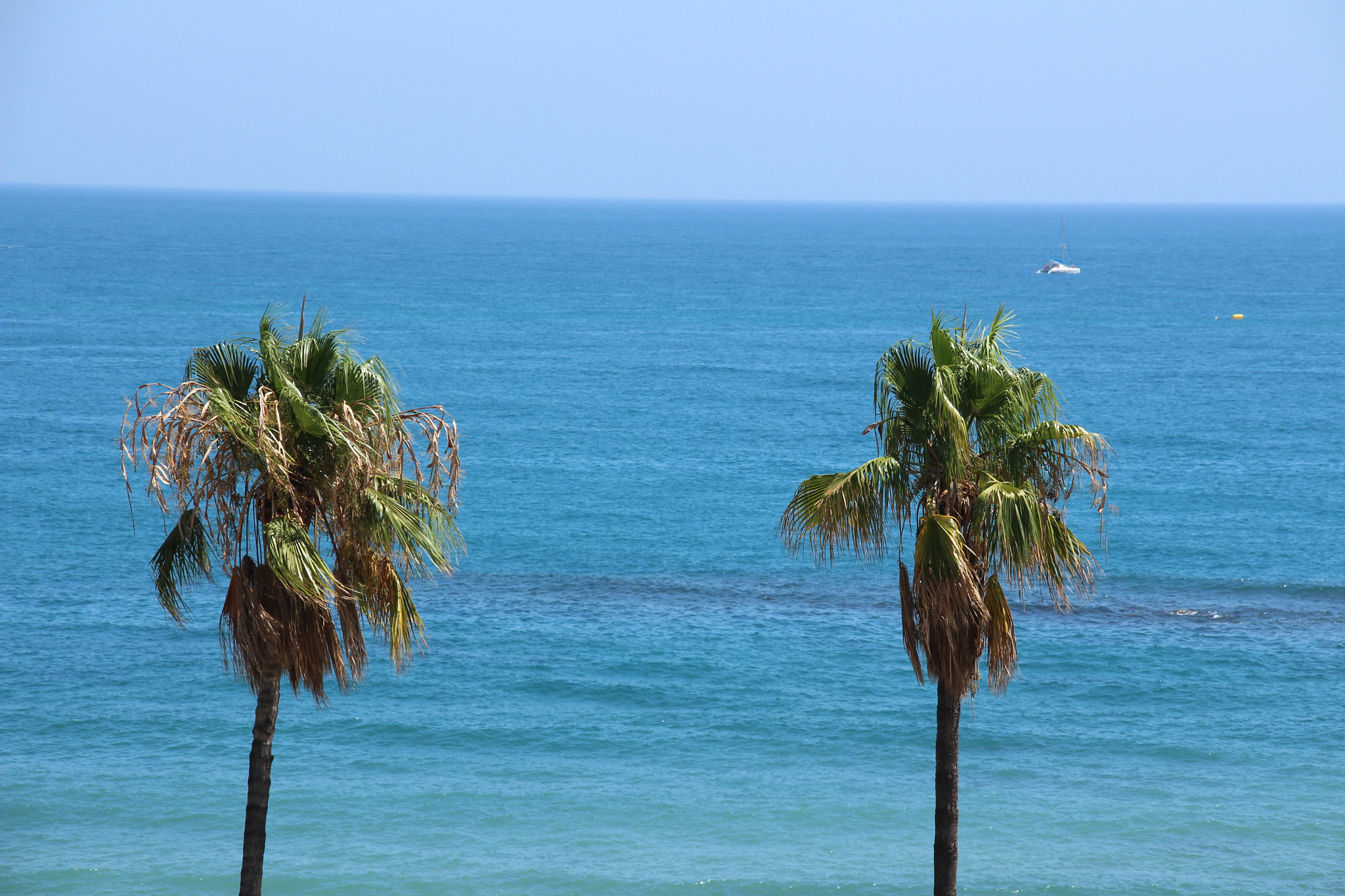 Sigma 18-200mm f/3.5-6.3 DC OS sample photo. Palmeras en la playa photography
