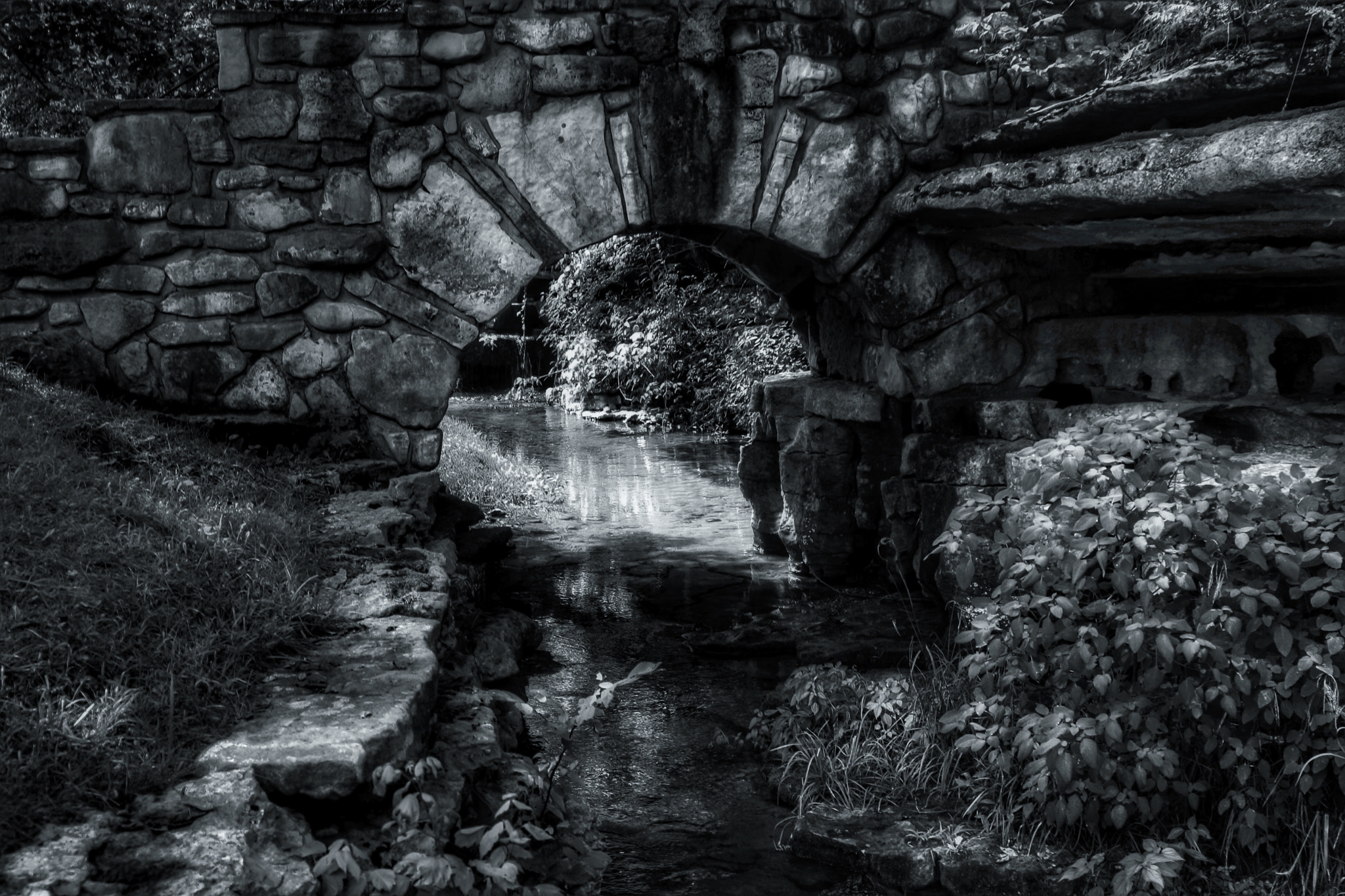 Tamron AF 28-200mm F3.8-5.6 XR Di Aspherical (IF) Macro sample photo. Footbridge at dogwood canyon photography