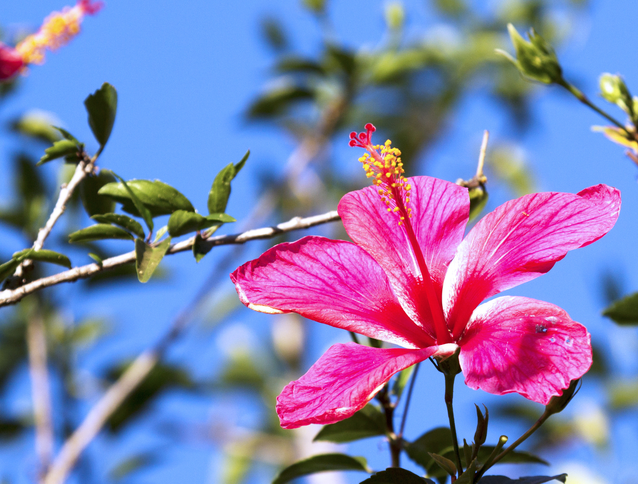 Canon EF 100-400mm F4.5-5.6L IS USM sample photo