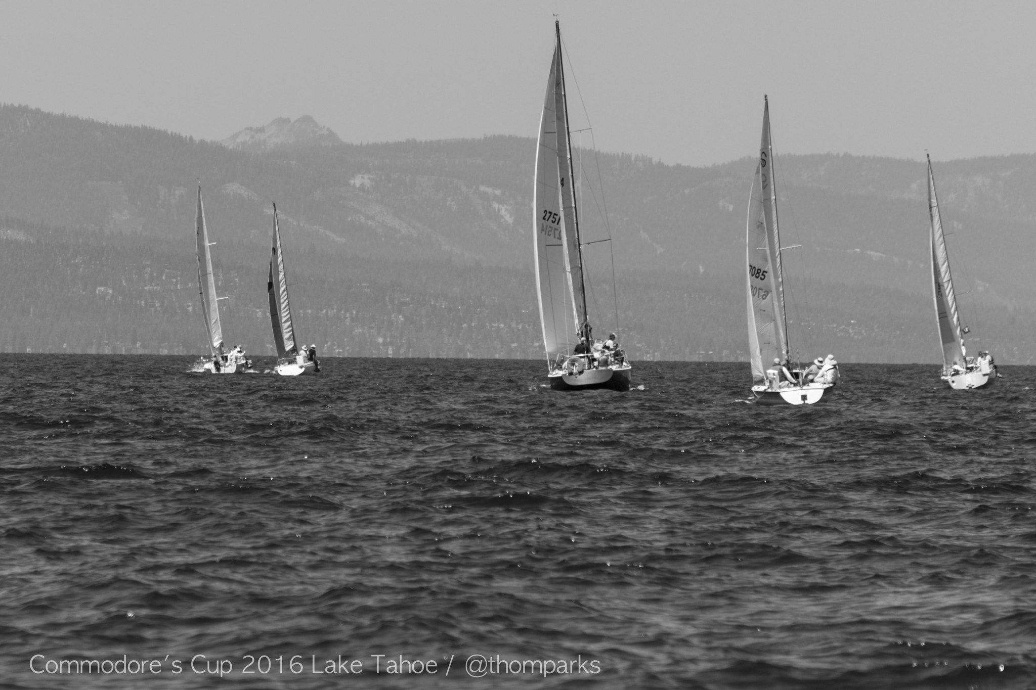 Nikon AF-S Nikkor 24-120mm F4G ED VR sample photo. Commodore's cup 2016 photography