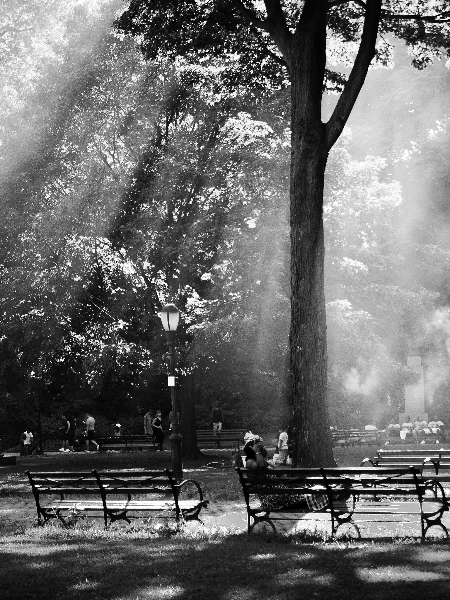 LUMIX G VARIO 45-150/F4.0-5.6 sample photo. Summer in the park photography