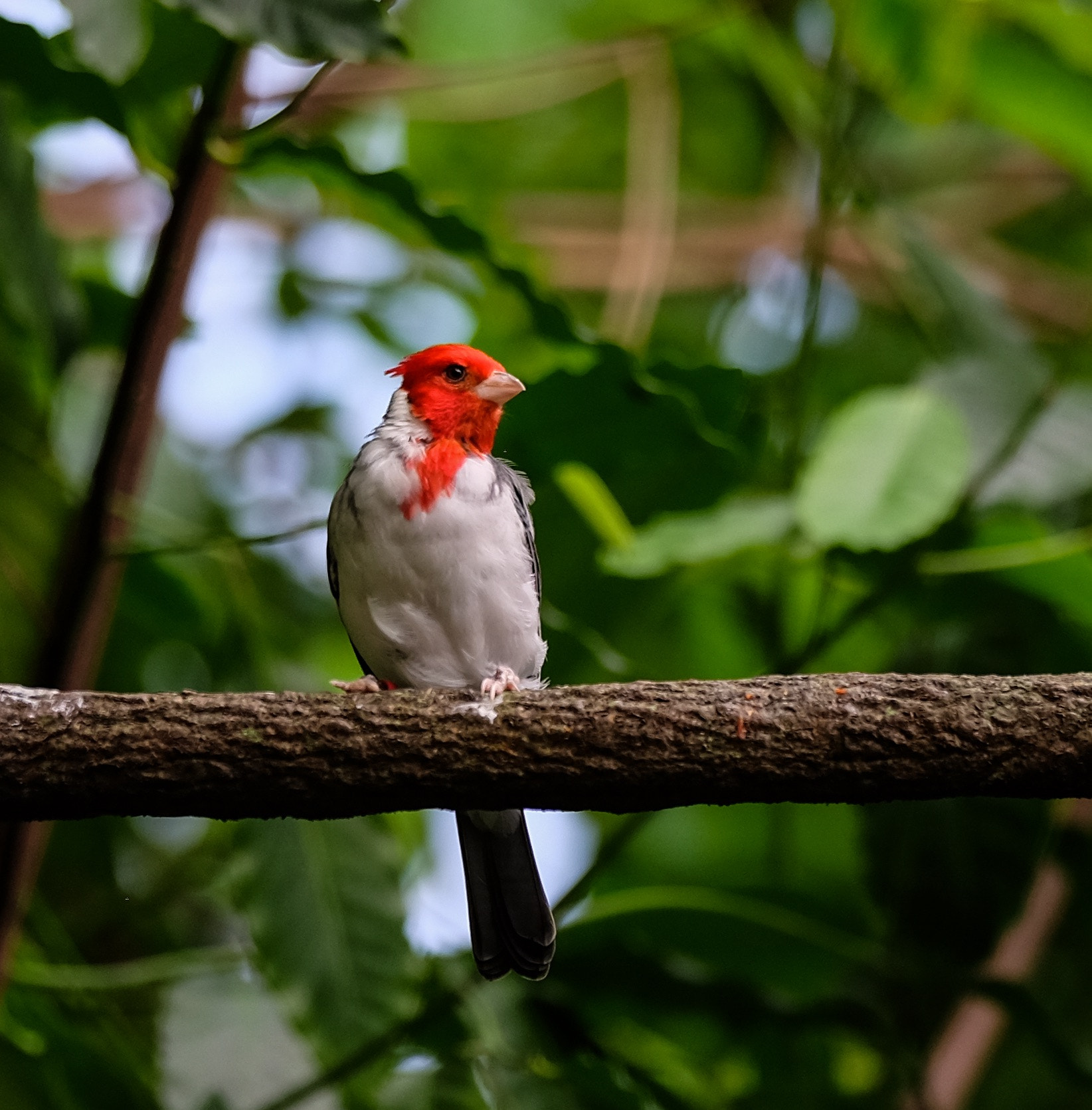 Fujifilm X-T10 + Fujifilm XF 50-140mm F2.8 R LM OIS WR sample photo