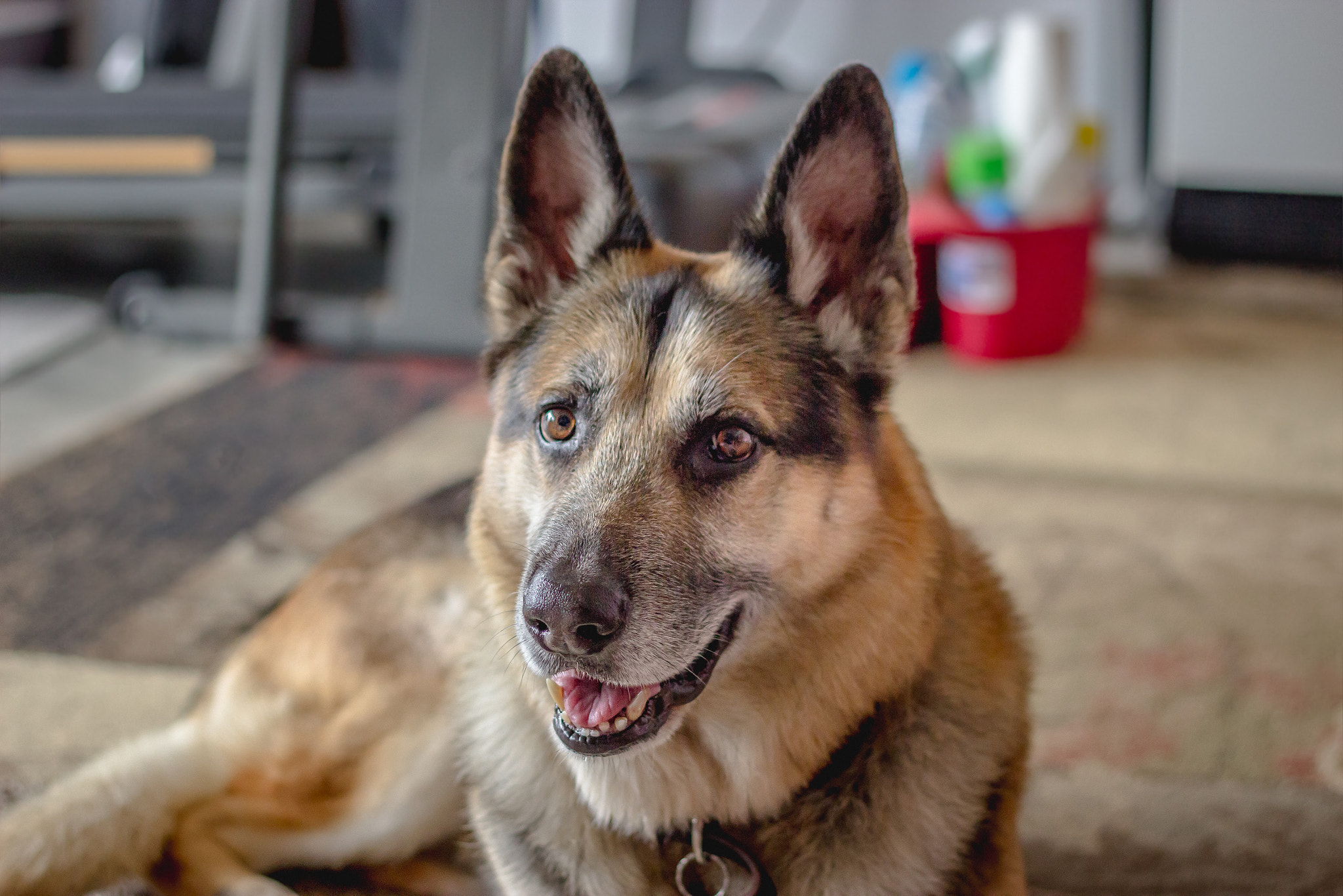 Canon EF 50mm F1.8 II sample photo