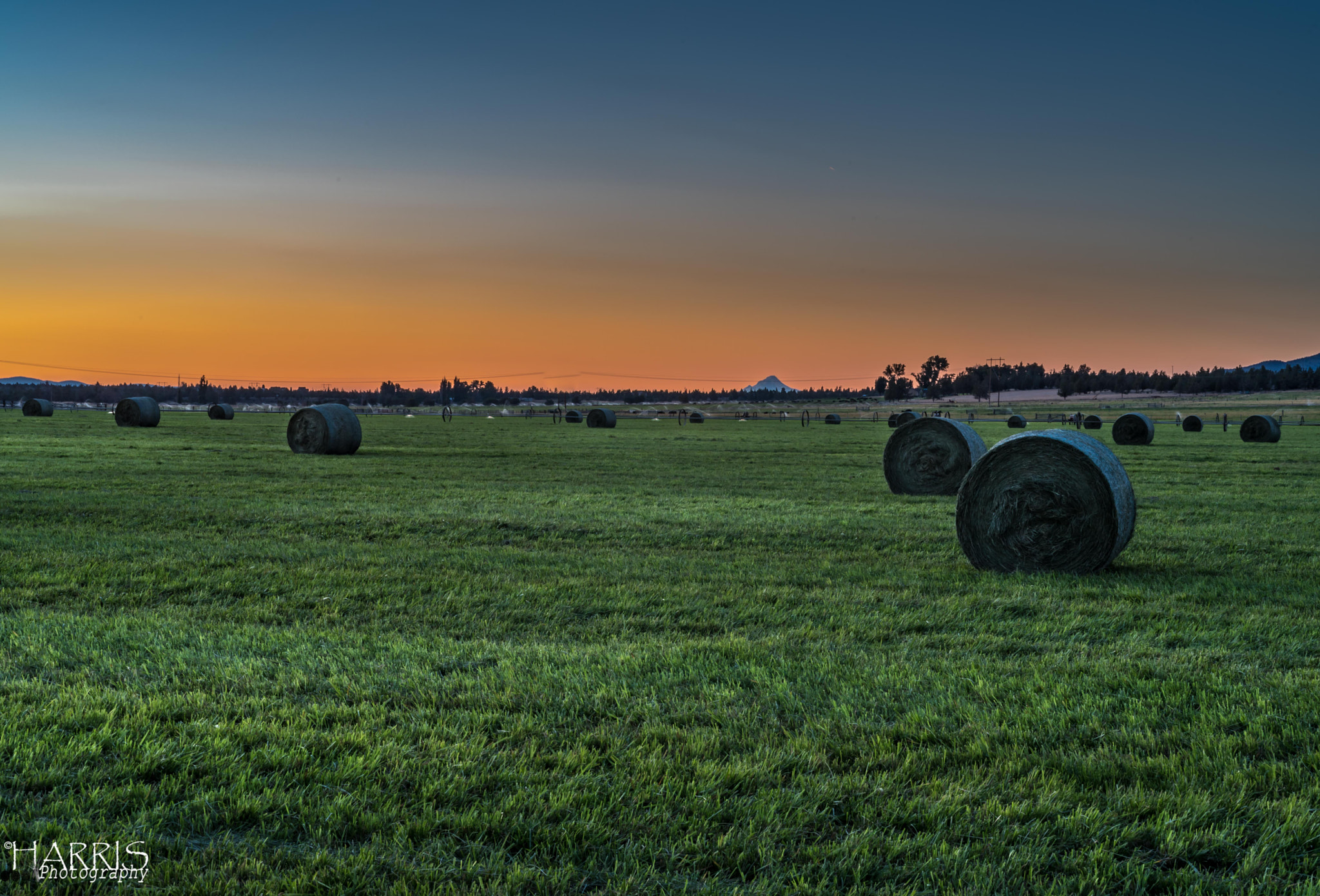 Nikon AF Micro-Nikkor 60mm F2.8D sample photo. Central oregon farmland photography
