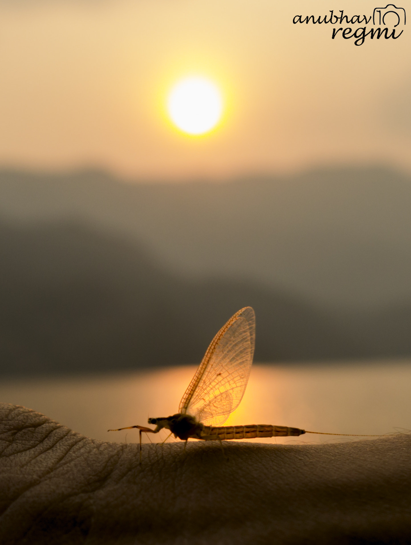 Panasonic Lumix DMC-GH2 sample photo. Pokhara, nepal photography