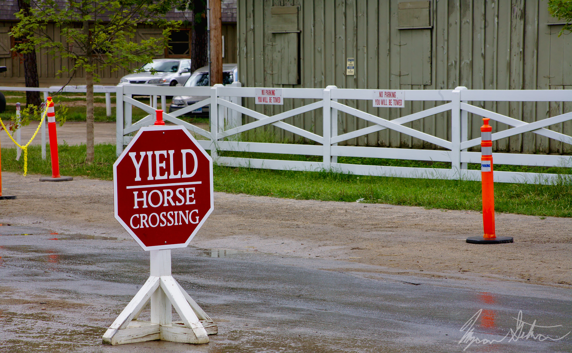 Canon EOS 5D + EF75-300mm f/4-5.6 sample photo. Yield horse crossing photography