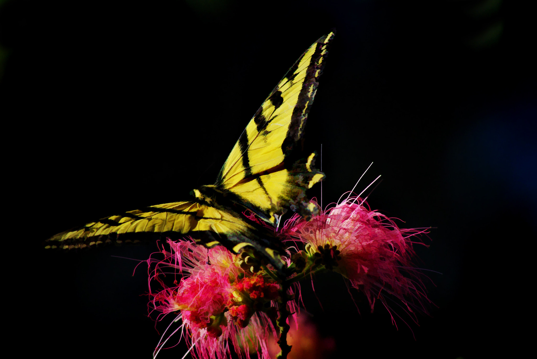 smc PENTAX-DA L 55-300mm F4-5.8 ED sample photo. Takeoff photography