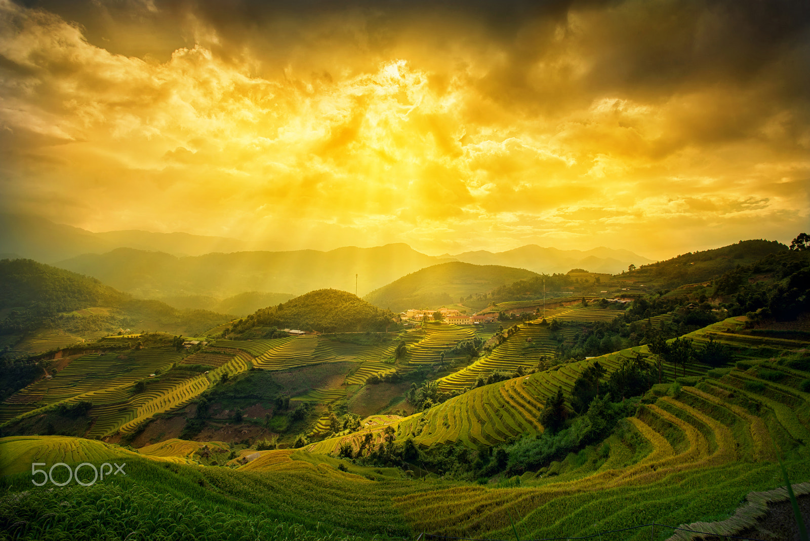 Nikon AF-S Nikkor 17-35mm F2.8D ED-IF sample photo. Rice fields on terraced in sunset at lapantan, yen bai, vie photography