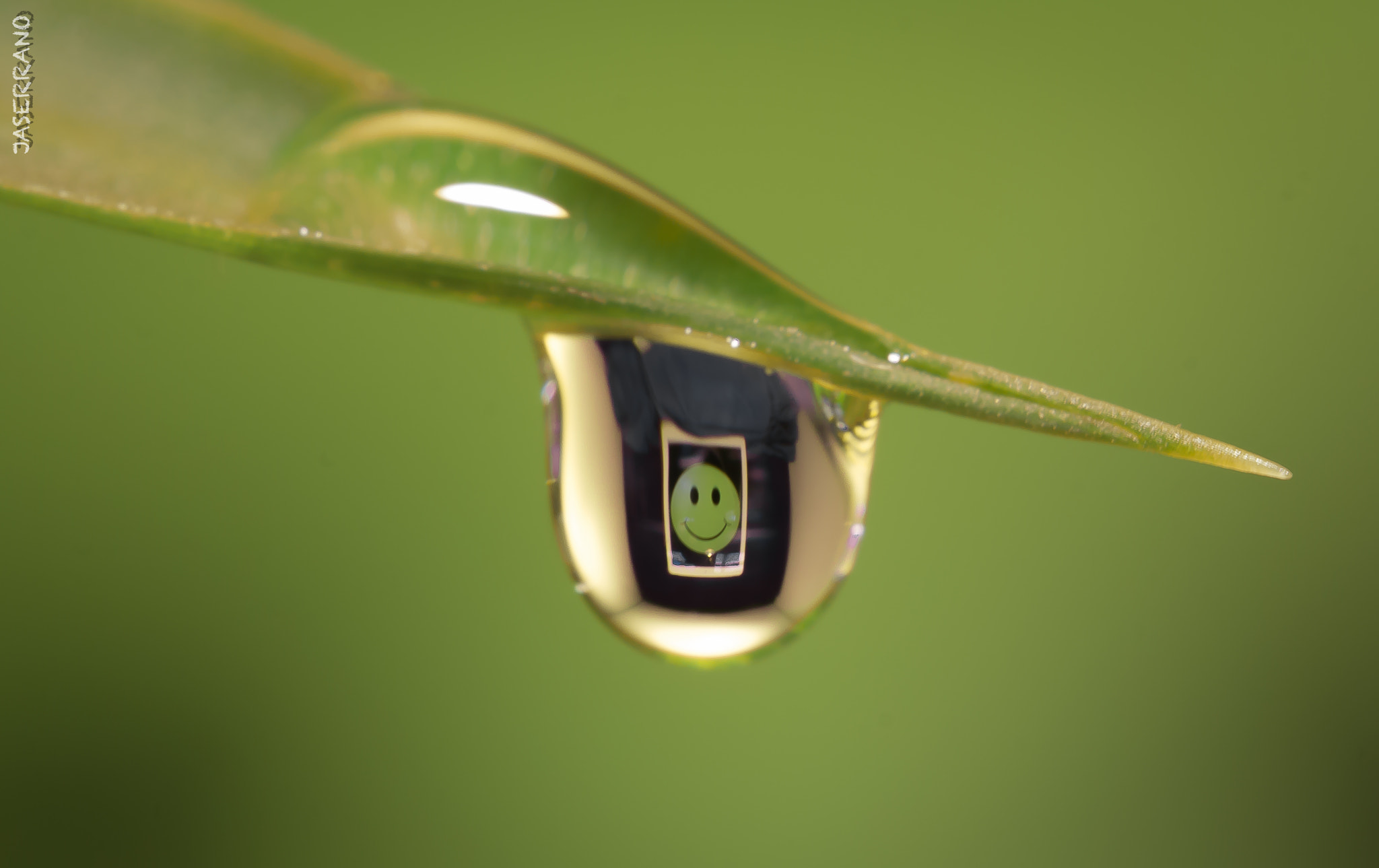 Canon EF 100mm F2.8L Macro IS USM sample photo. A drop of smile photography