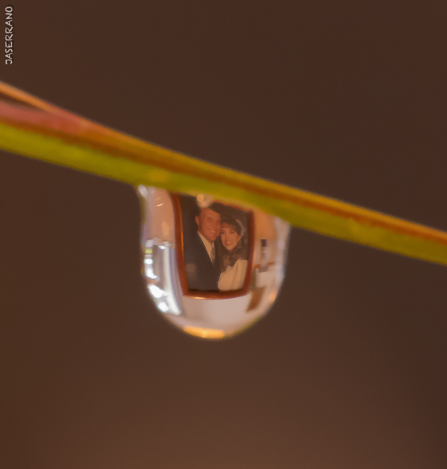 Canon EF 100mm F2.8L Macro IS USM sample photo. Reflejo photography