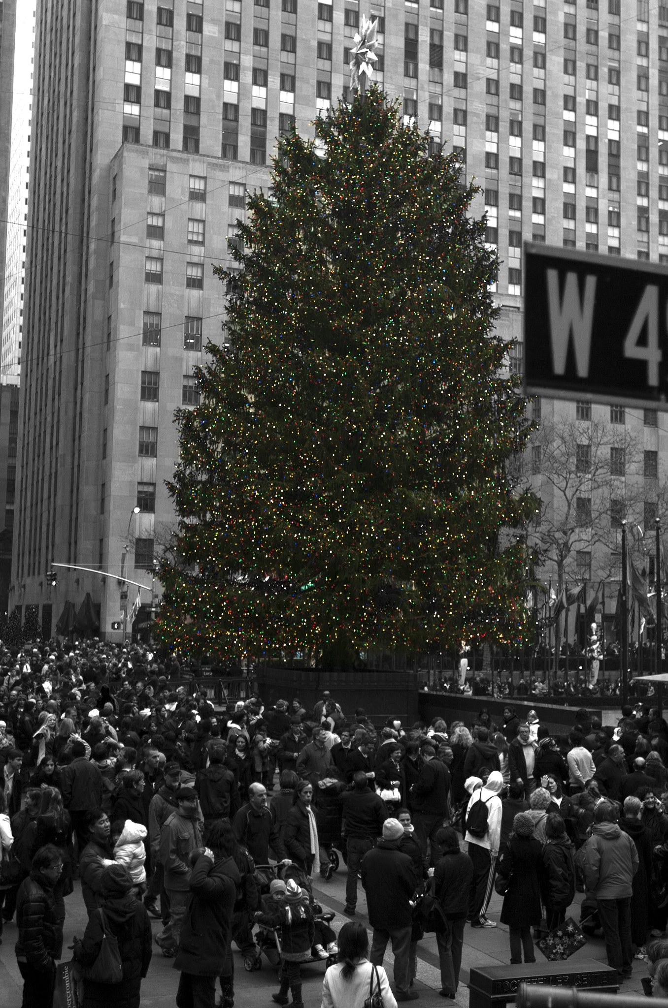 Nikon D2H sample photo. Christmastree photography