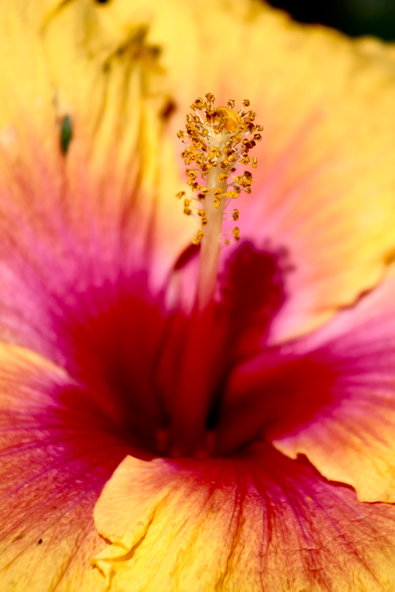 Canon EF75-300mm f/4-5.6 USM sample photo. At her red heart photography