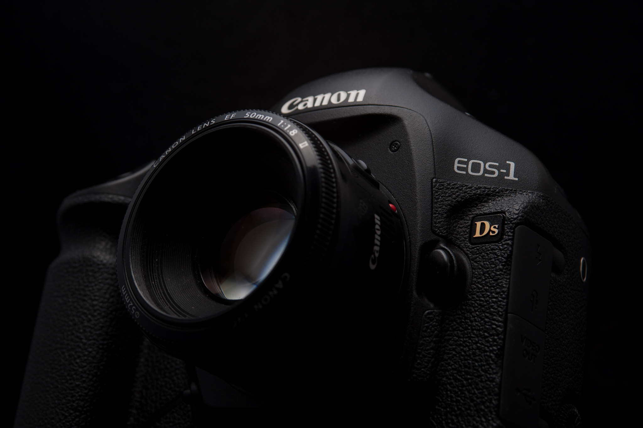 Canon EOS-1D Mark III + EF28-70mm f/2.8L USM sample photo. New toy photography