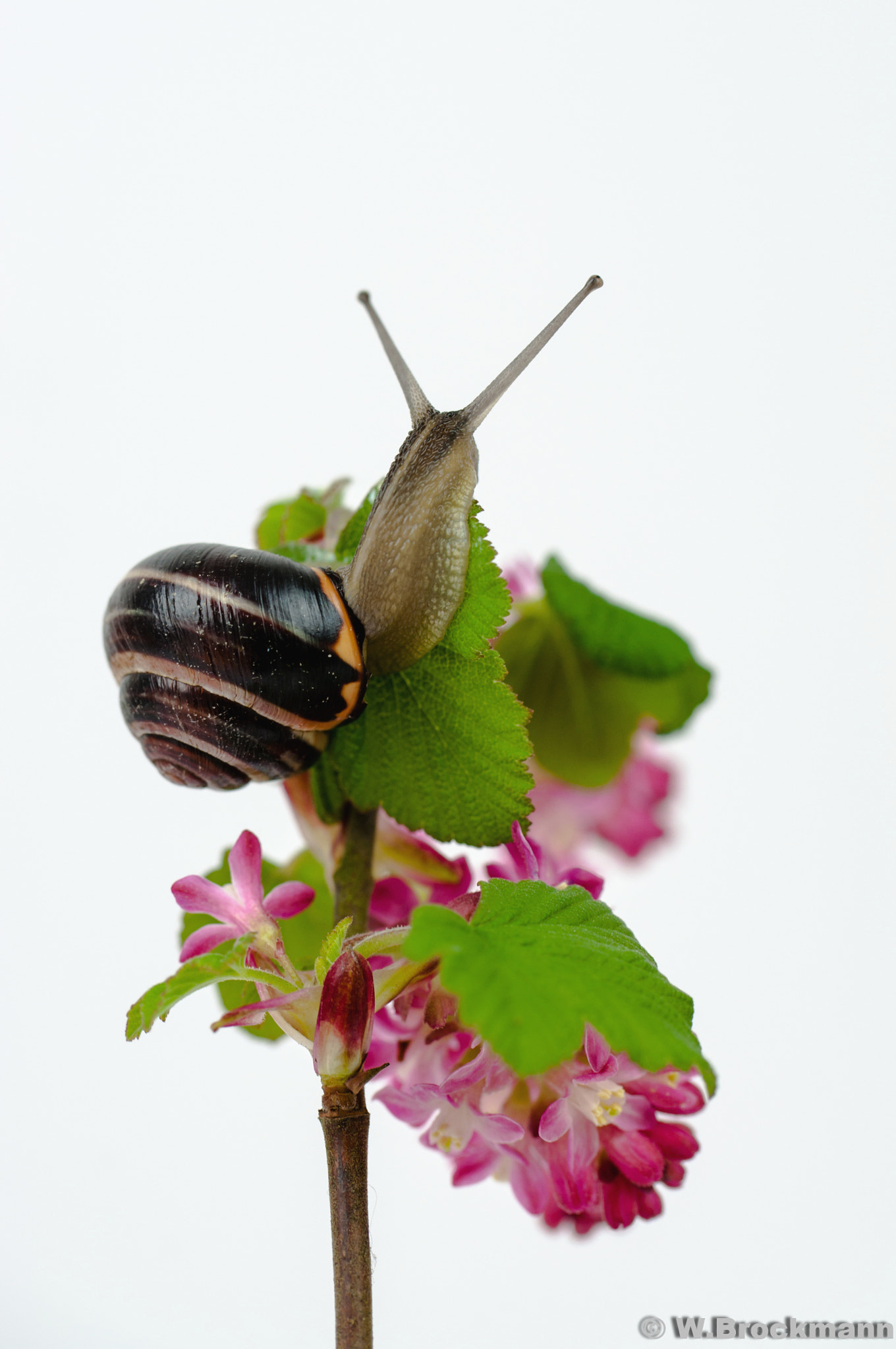 Nikon D5000 sample photo. Nach oben photography