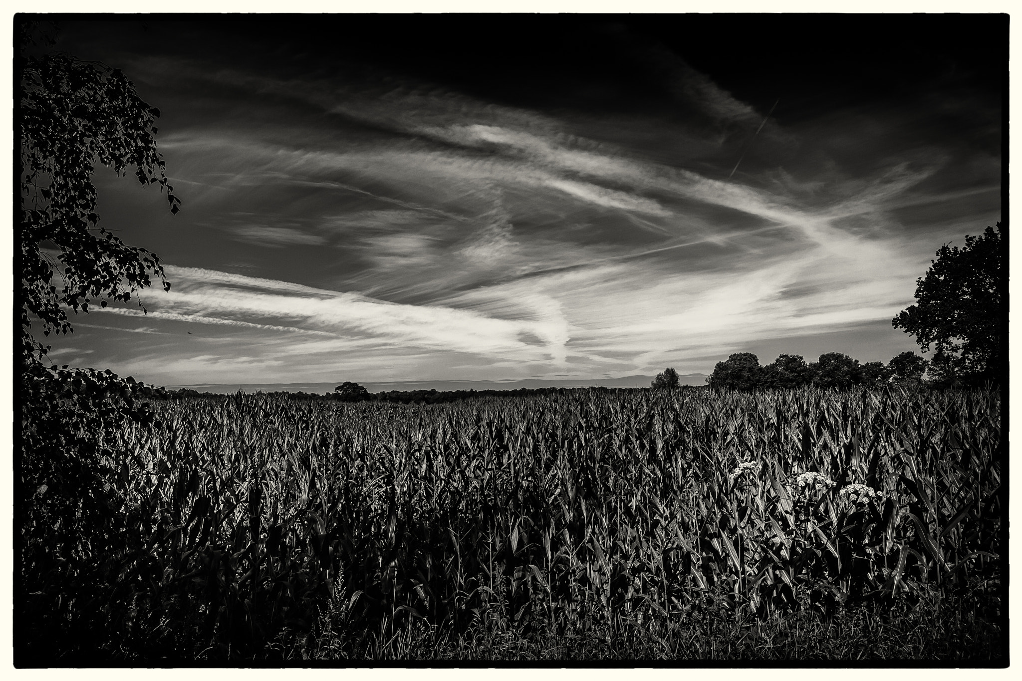 Canon EF 16-35mm F4L IS USM sample photo. "contrails across the sky" photography