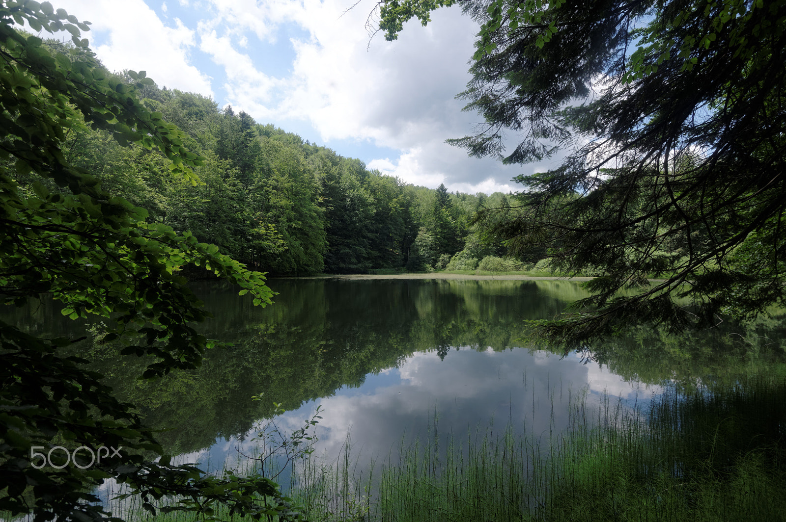 Sigma 10-20mm F3.5 EX DC HSM sample photo. Hidden treasure photography