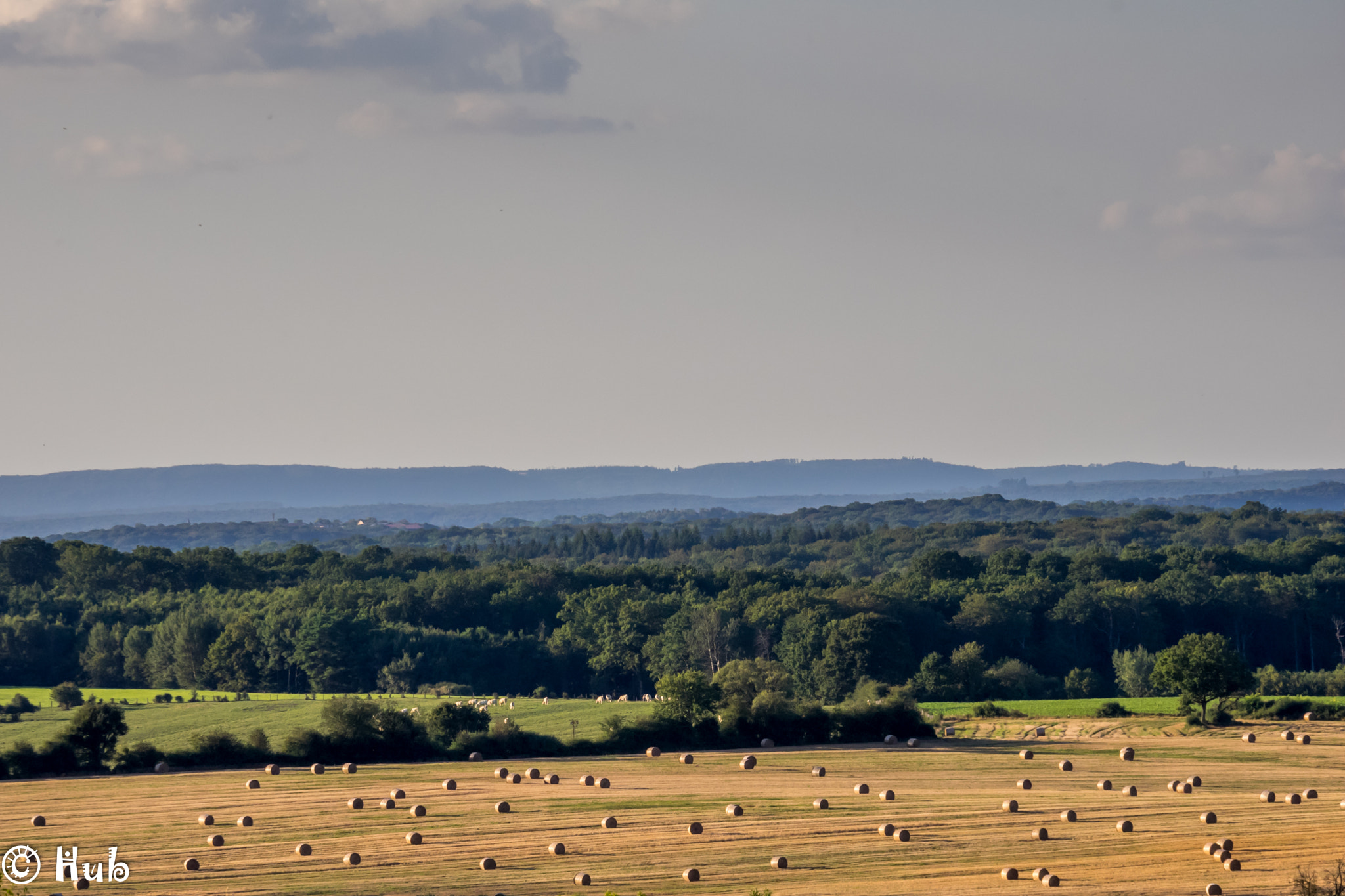 Olympus OM-D E-M1 sample photo. Campagne photography