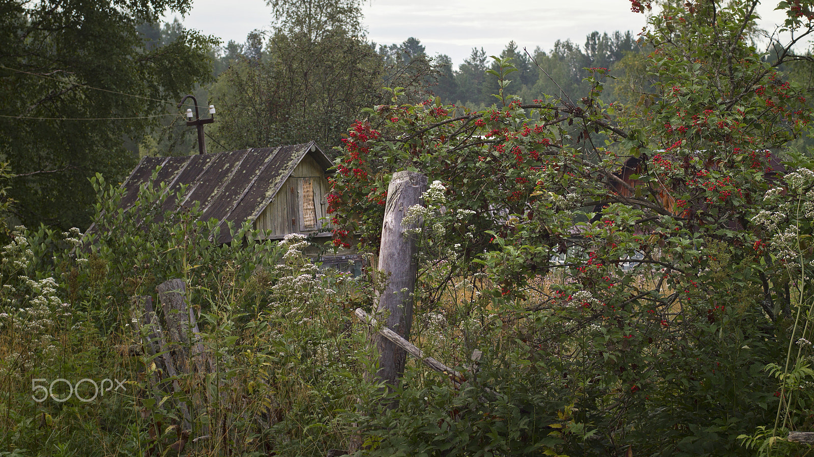 ZEISS Planar T* 50mm F1.4 sample photo. August photography