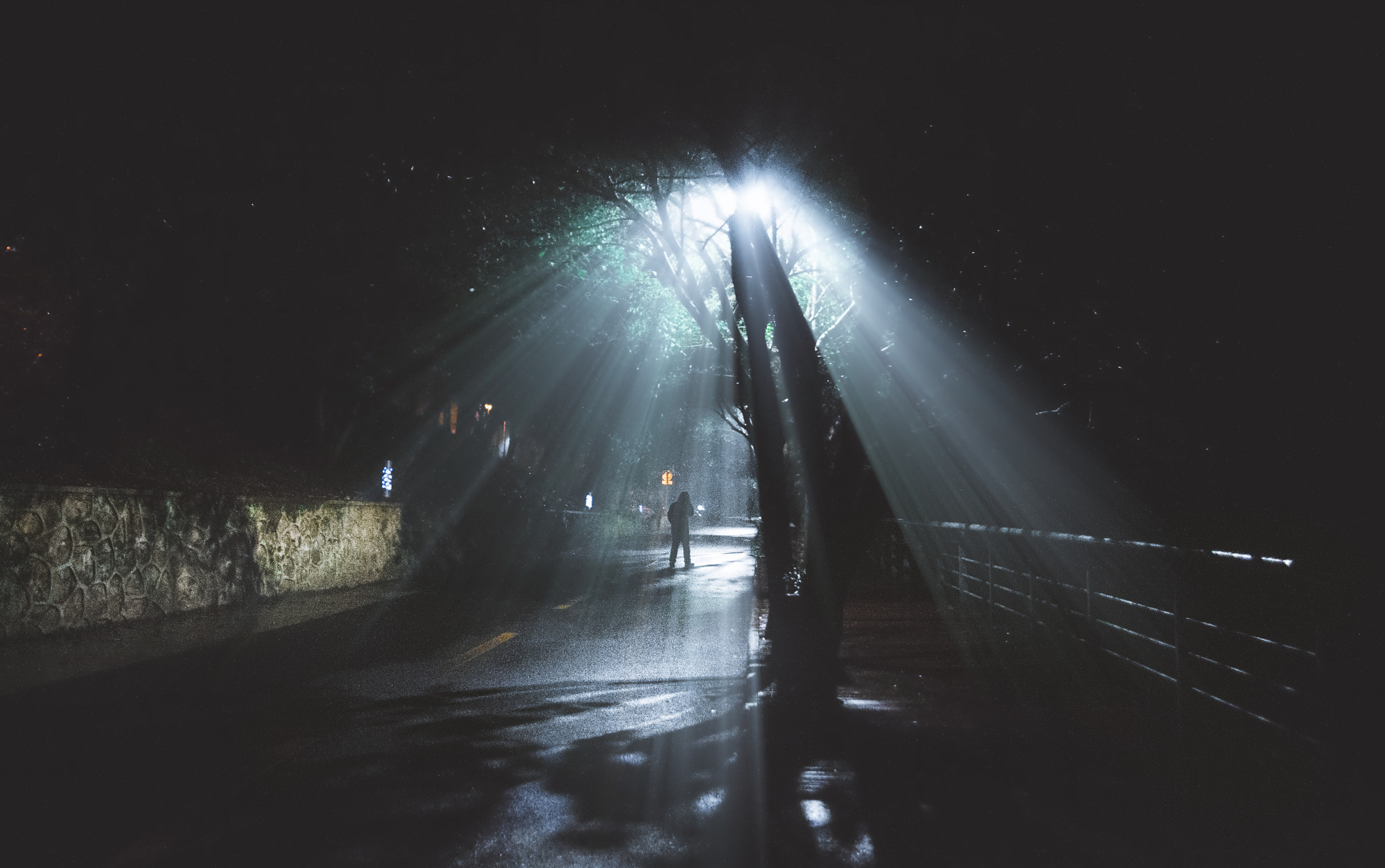 Nikon D300S sample photo. Night photography